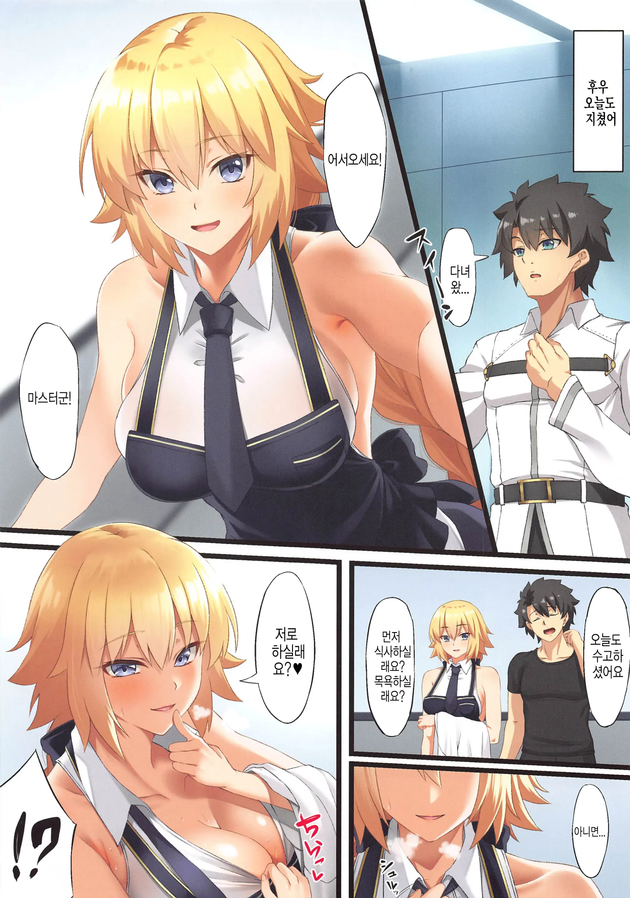 FDO Fate Dosukbe Order VOL.W | FDO 페이트 왕변태 오더 VOL.W