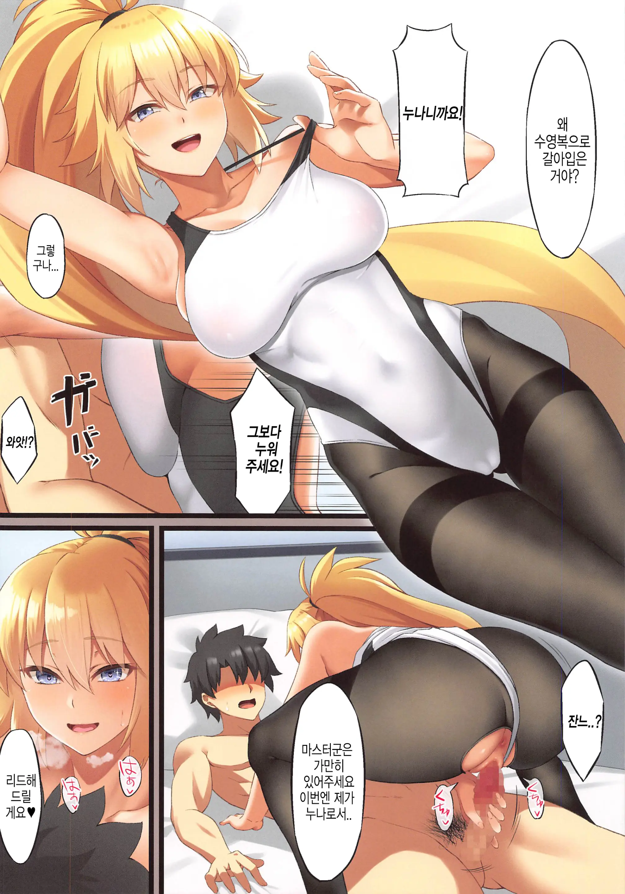 FDO Fate Dosukbe Order VOL.W | FDO 페이트 왕변태 오더 VOL.W