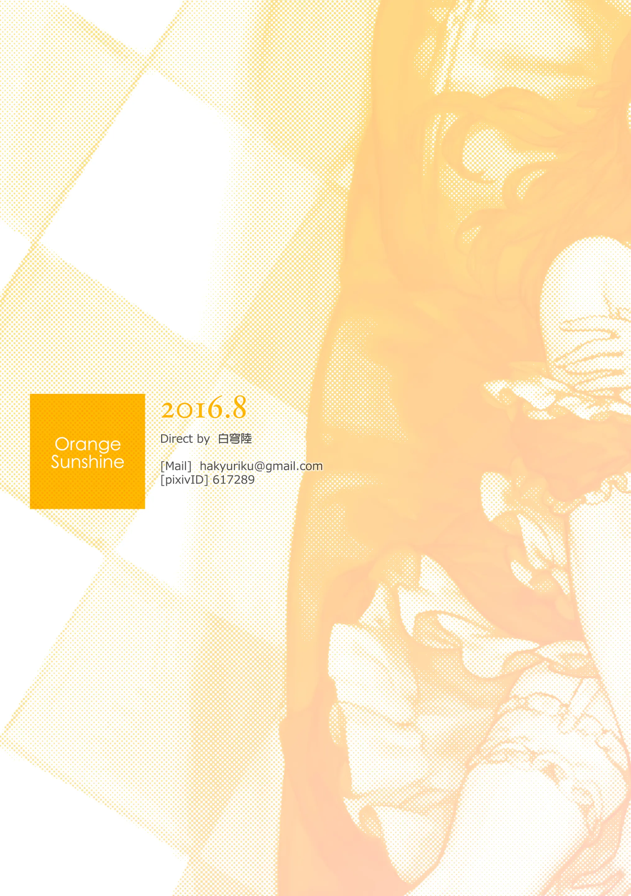 Orange Sunshine｜오렌지 빛 태양