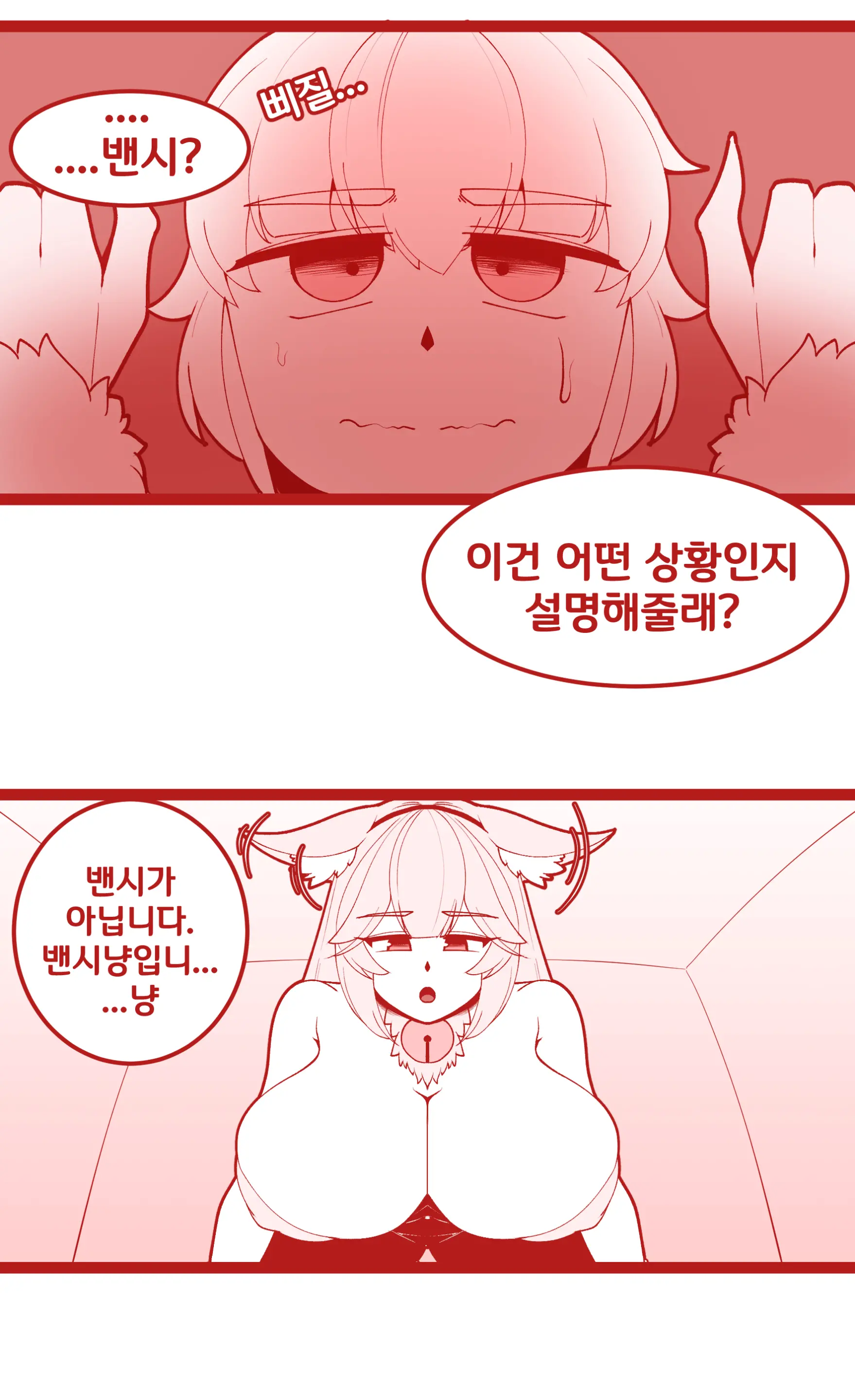 밴시냥이한테 급습당하는 사령관