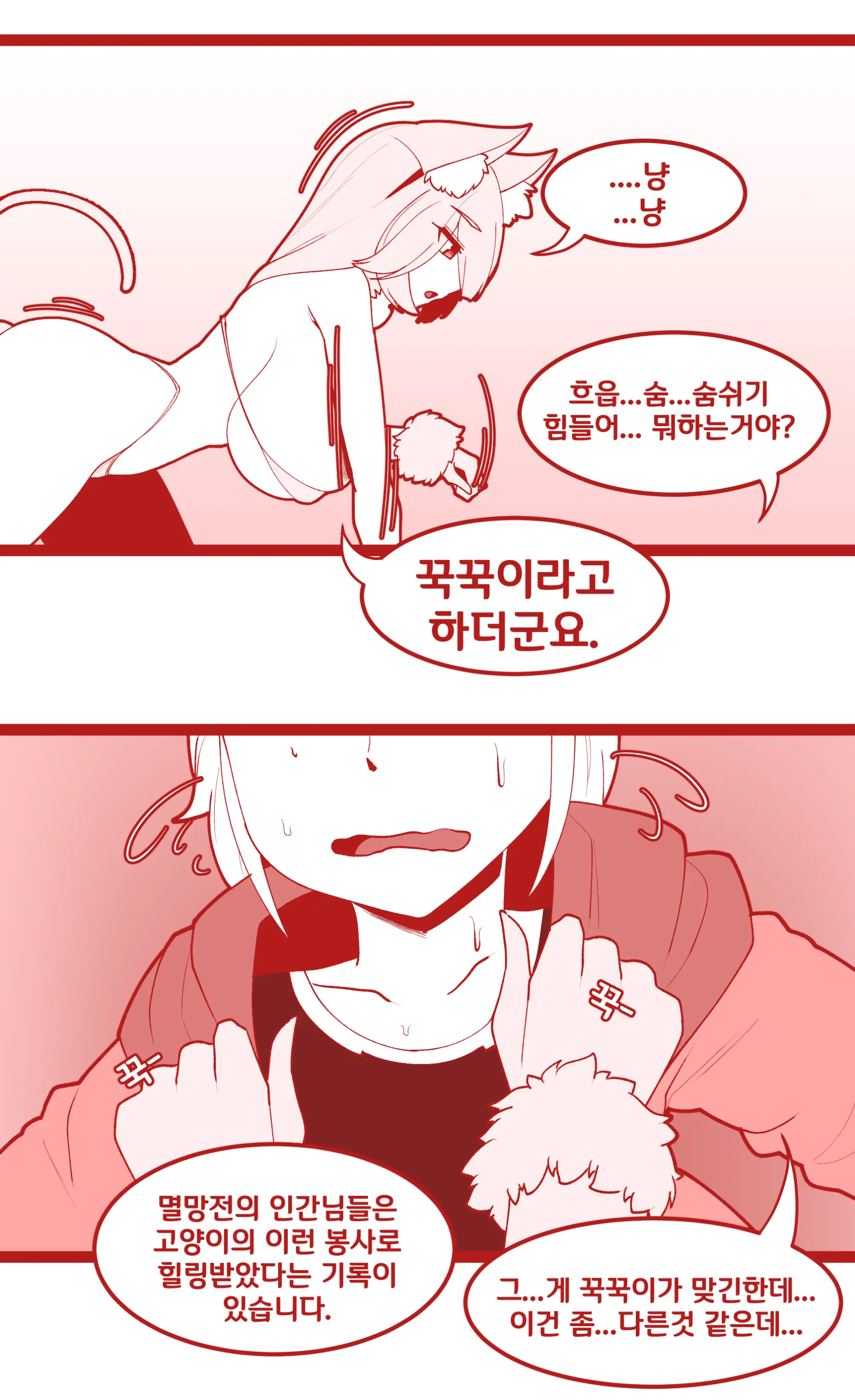 밴시냥이한테 급습당하는 사령관