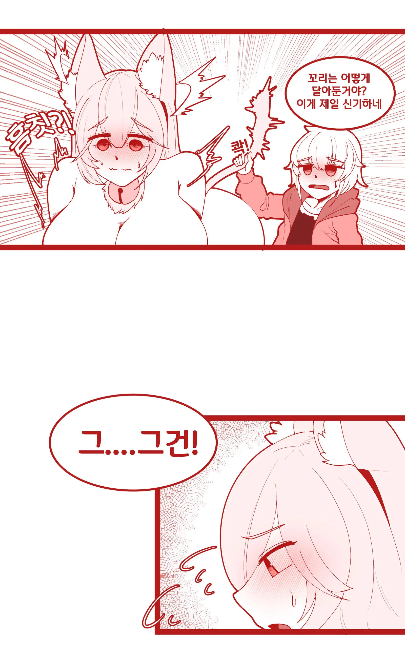 밴시냥이한테 급습당하는 사령관