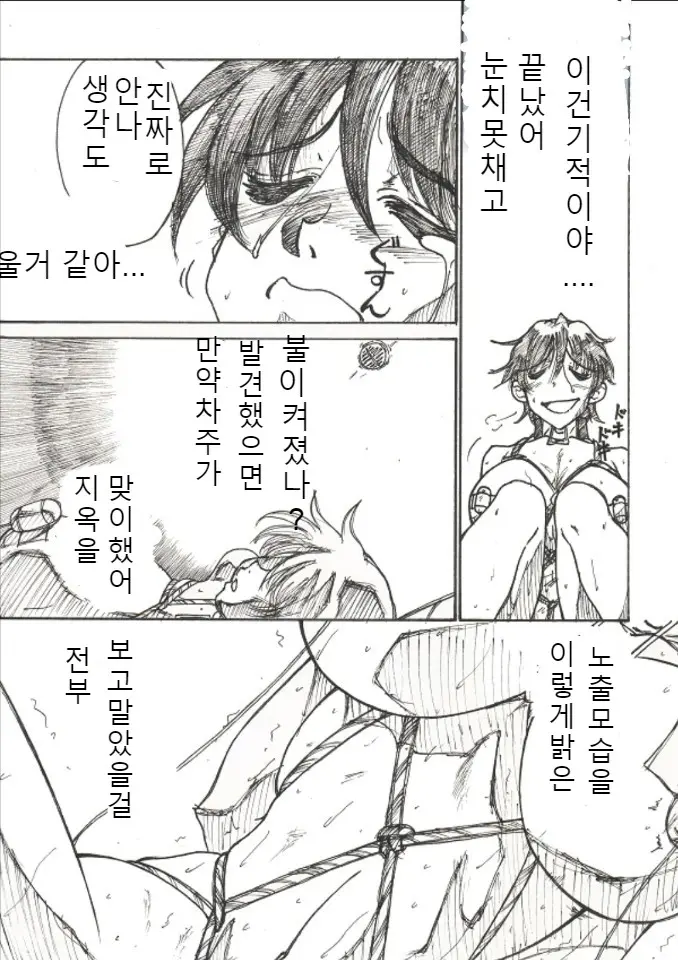 Roshutsu Hime No Hitsuzenteki Kyuuchi (Kou) | 노출공주의 필연적 위기2