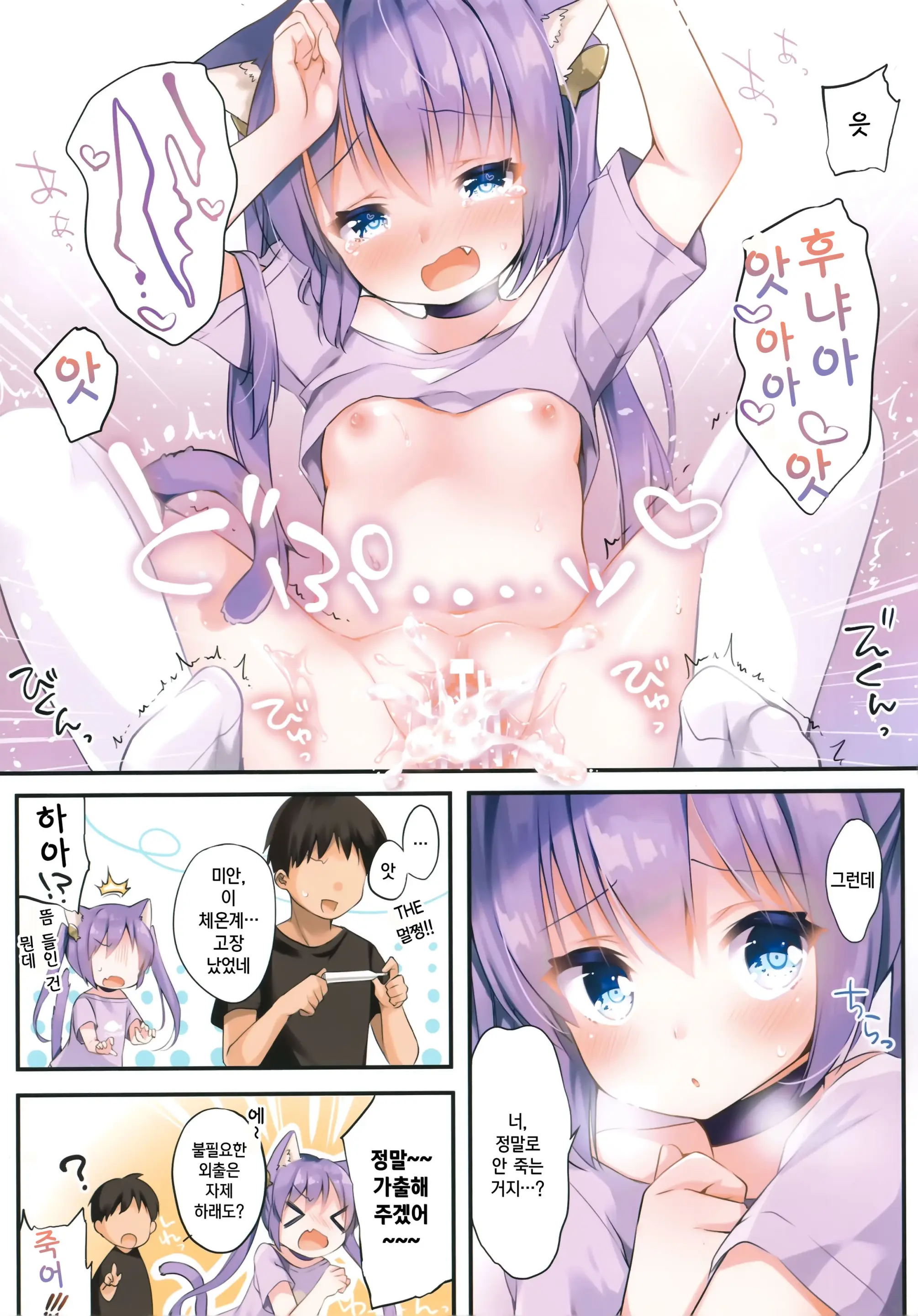 Uchi No Neko Wa Virus Ni Tsuyoi!! | 우리집 고양이는 바이러스에 강하다!!