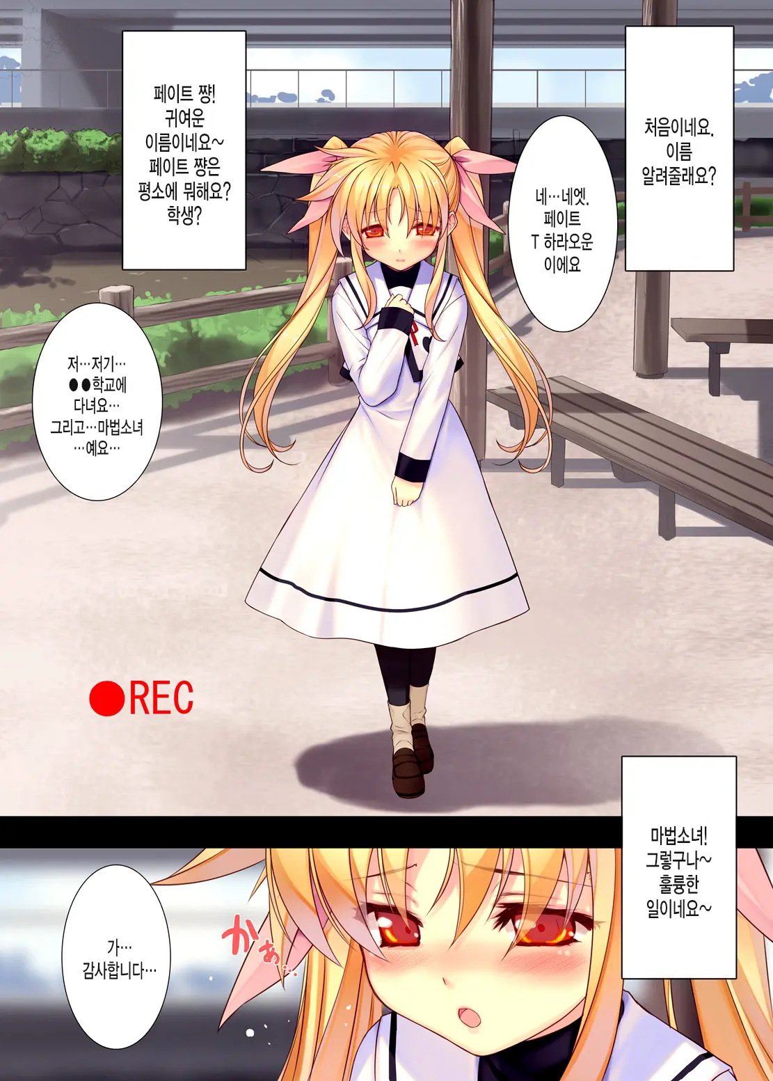 Nijigen Do-Shirouto Musume Nama Nakadashi 1 Fate-Chan 19-Sai