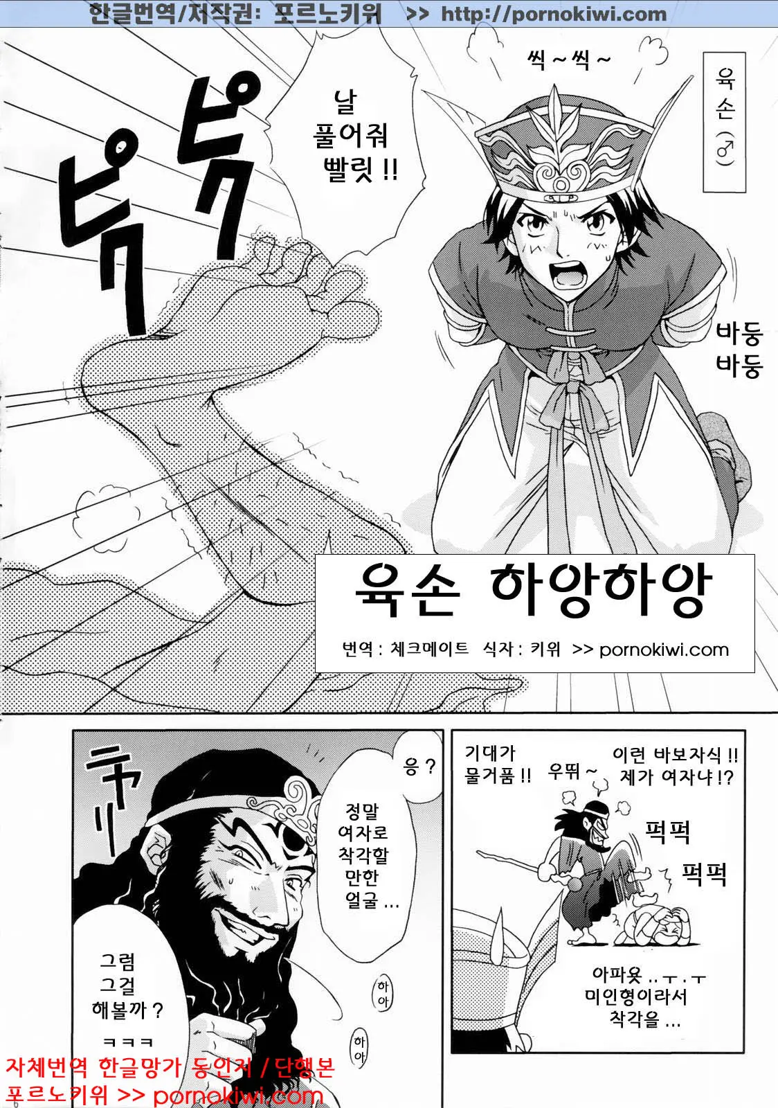 In Sangoku Musou Rikuson Gaiden