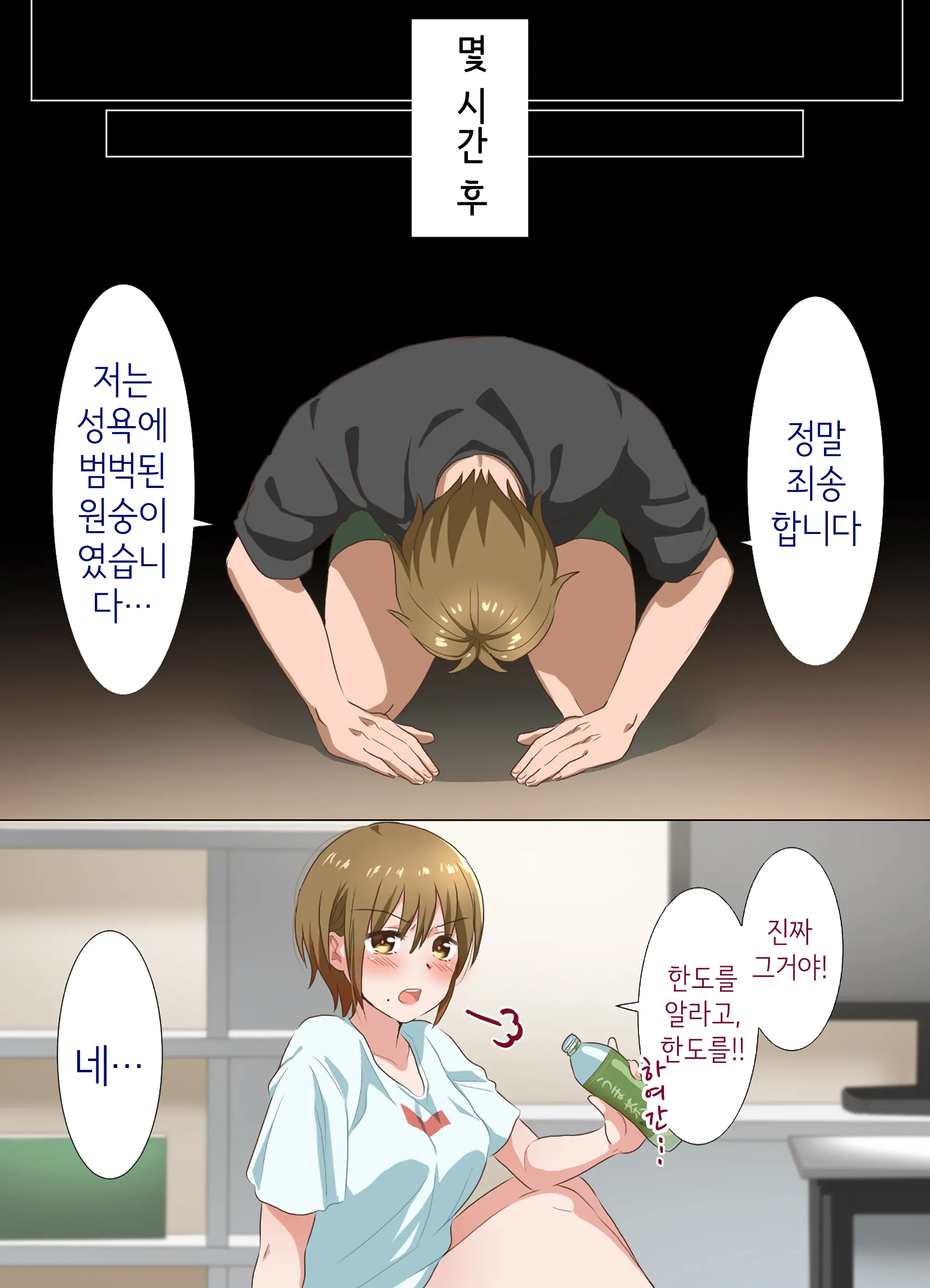 Ne-Chan To Suru Hanashi | 누나랑 하는 이야기