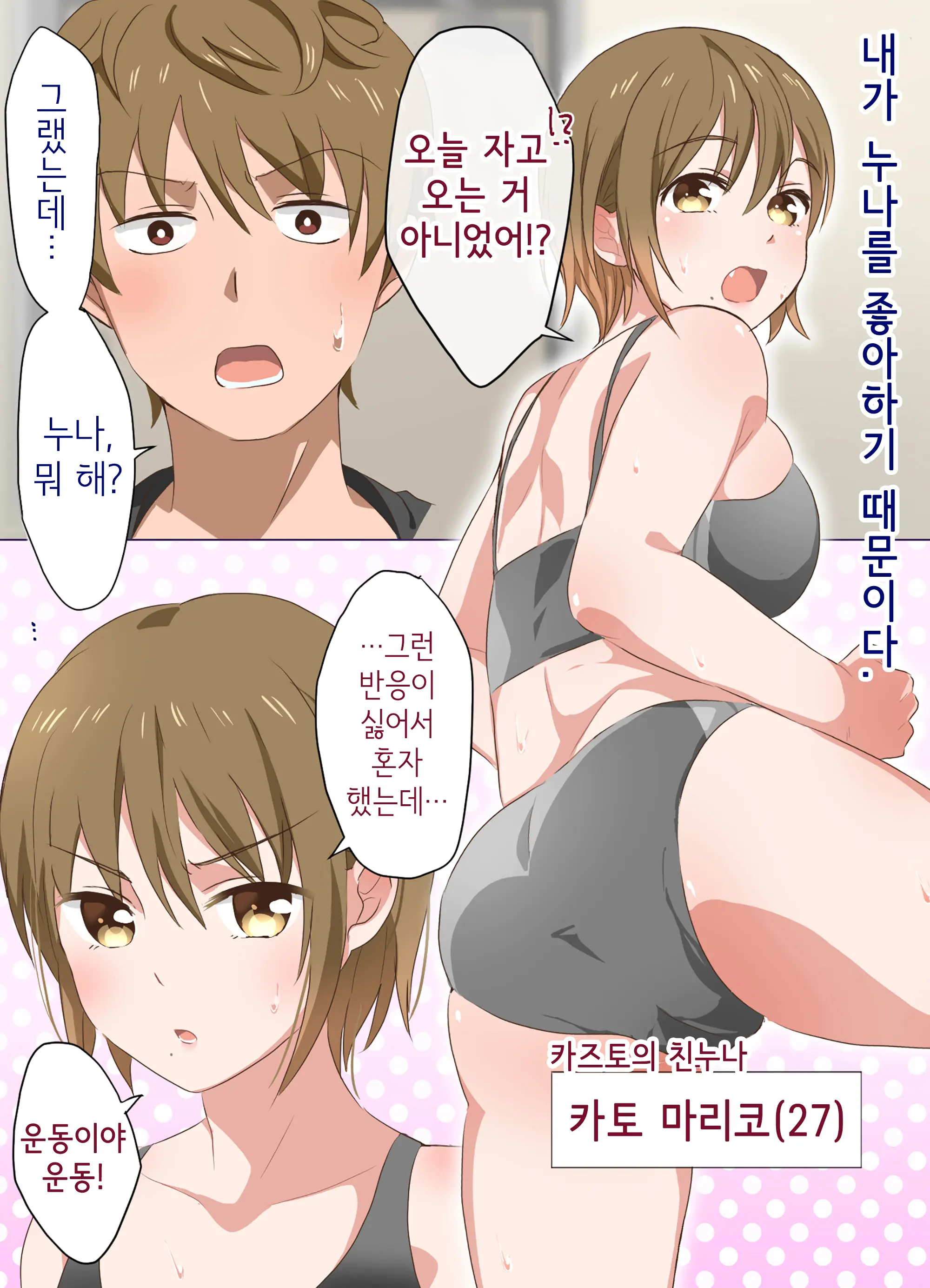 Ne-Chan To Suru Hanashi | 누나랑 하는 이야기