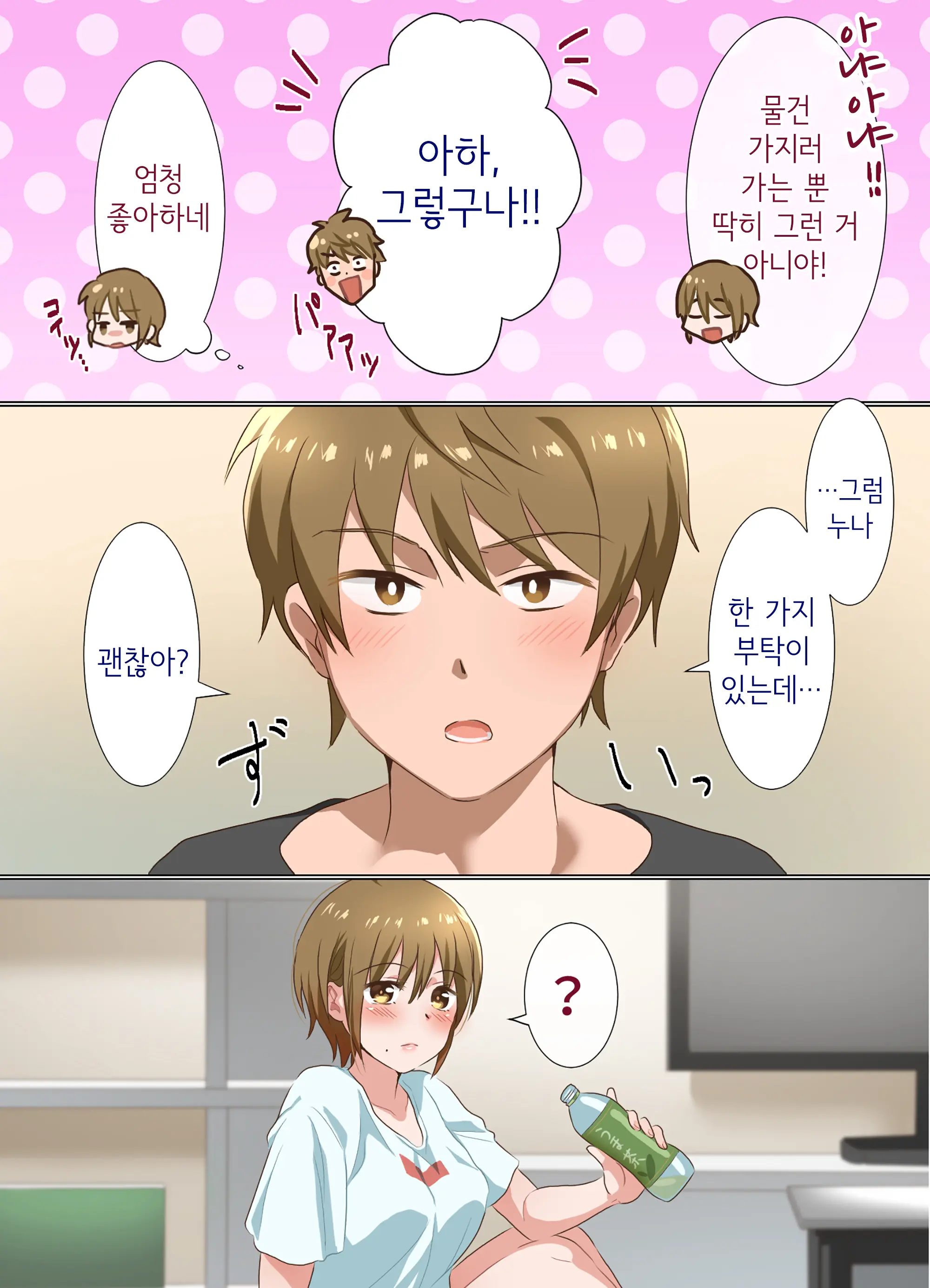 Ne-Chan To Suru Hanashi | 누나랑 하는 이야기