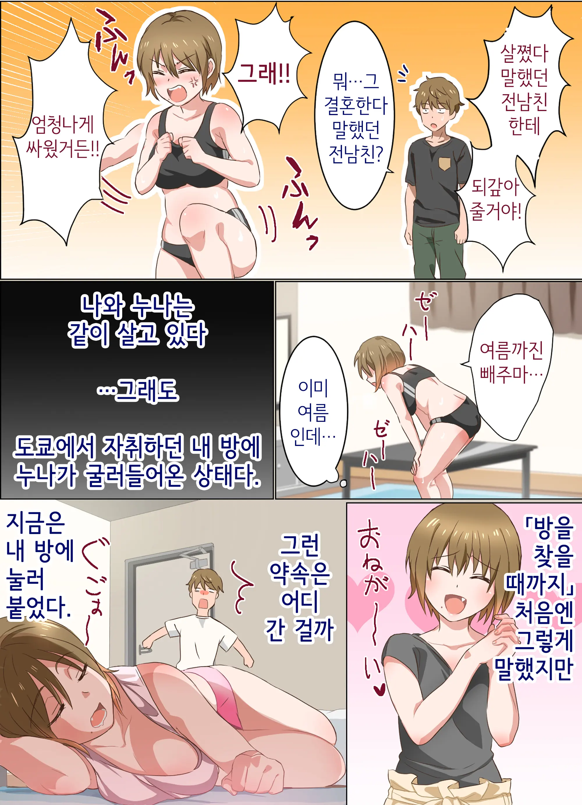 Ne-Chan To Suru Hanashi | 누나랑 하는 이야기
