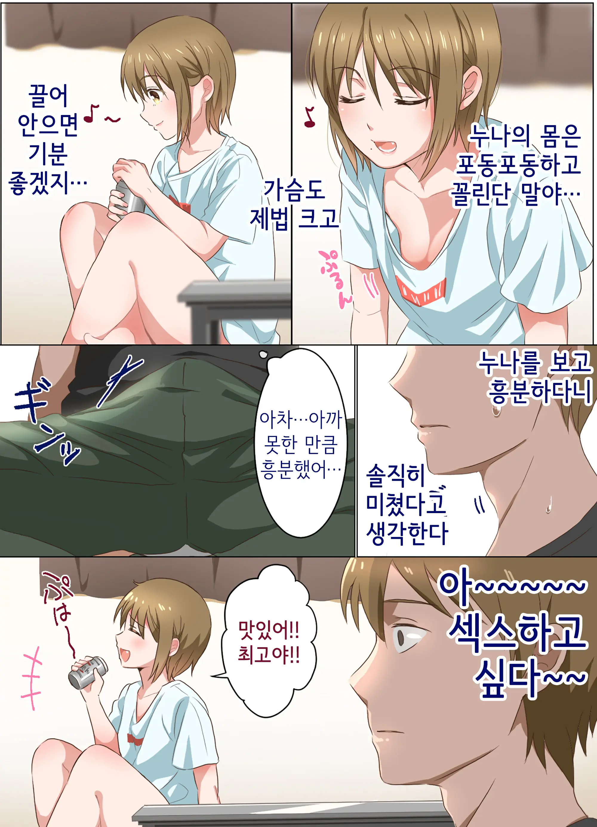 Ne-Chan To Suru Hanashi | 누나랑 하는 이야기