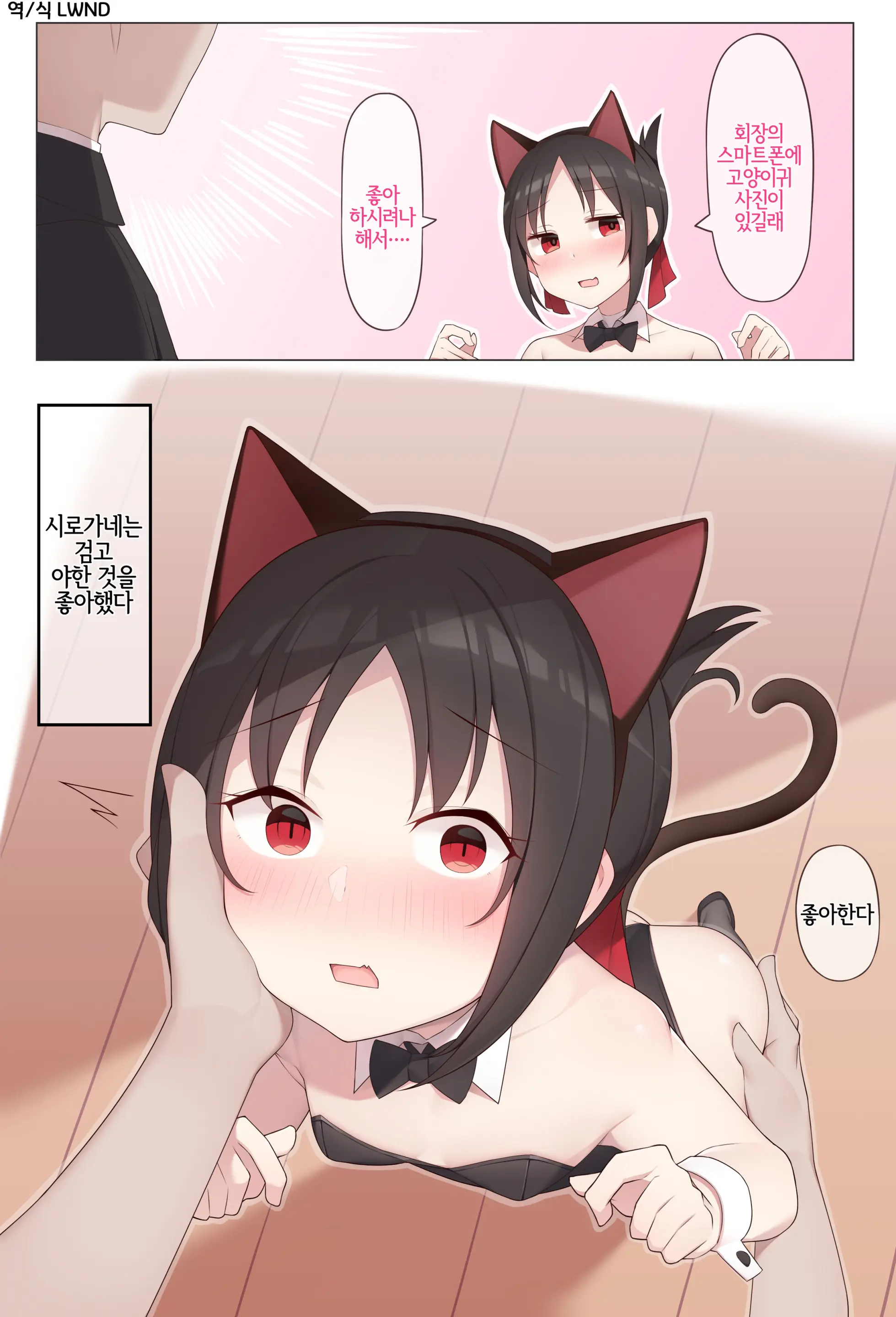 Nekomimi No Kaguya-Sama