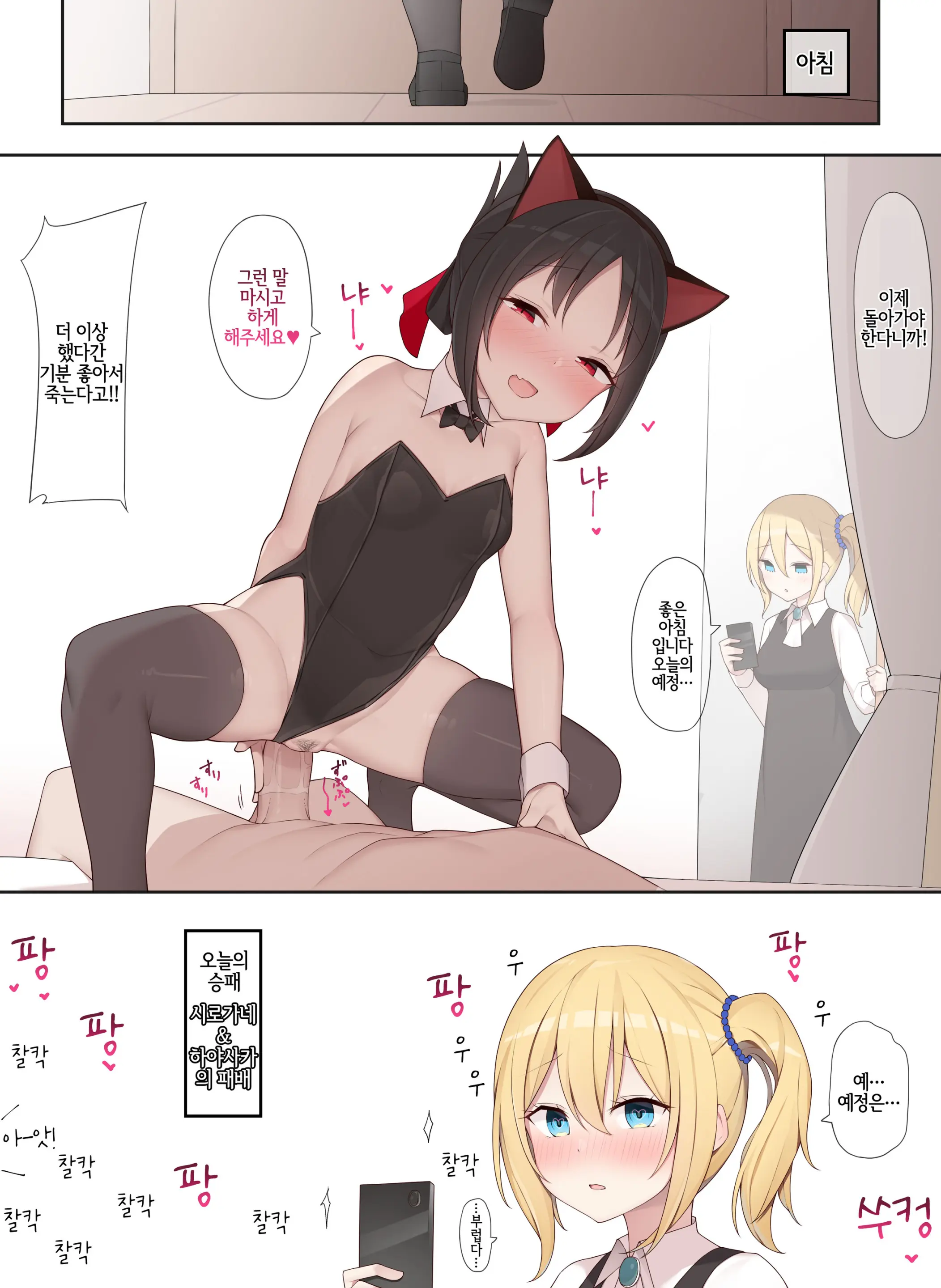 Nekomimi No Kaguya-Sama