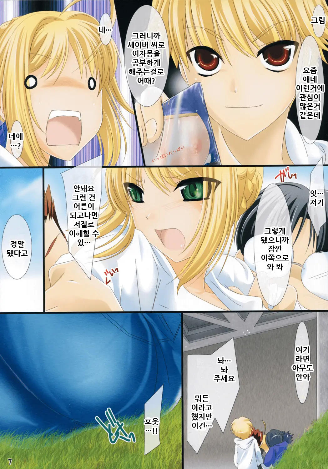 Oshiete! Saber Onee-San