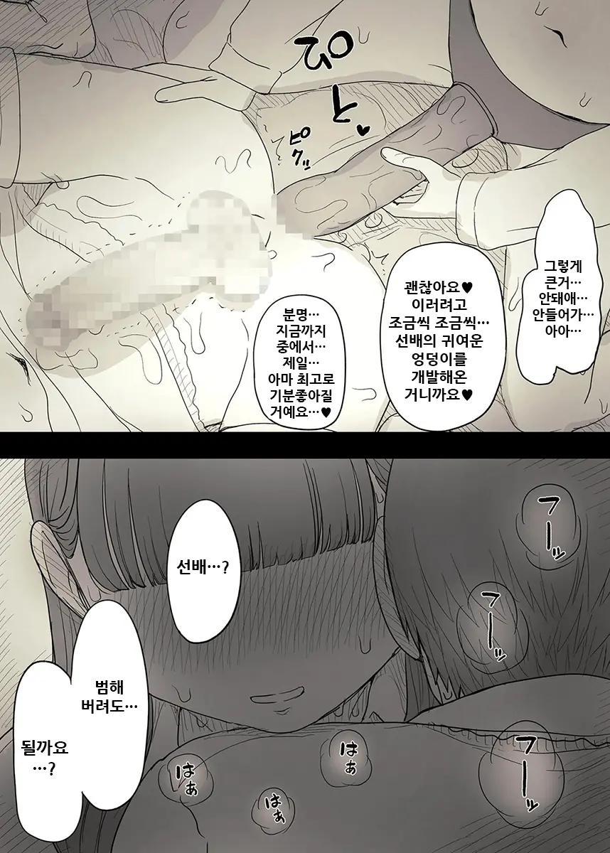 Bungaku Joshi Ni Taberareru 3 | 문학소녀에게 먹혀버린다 3
