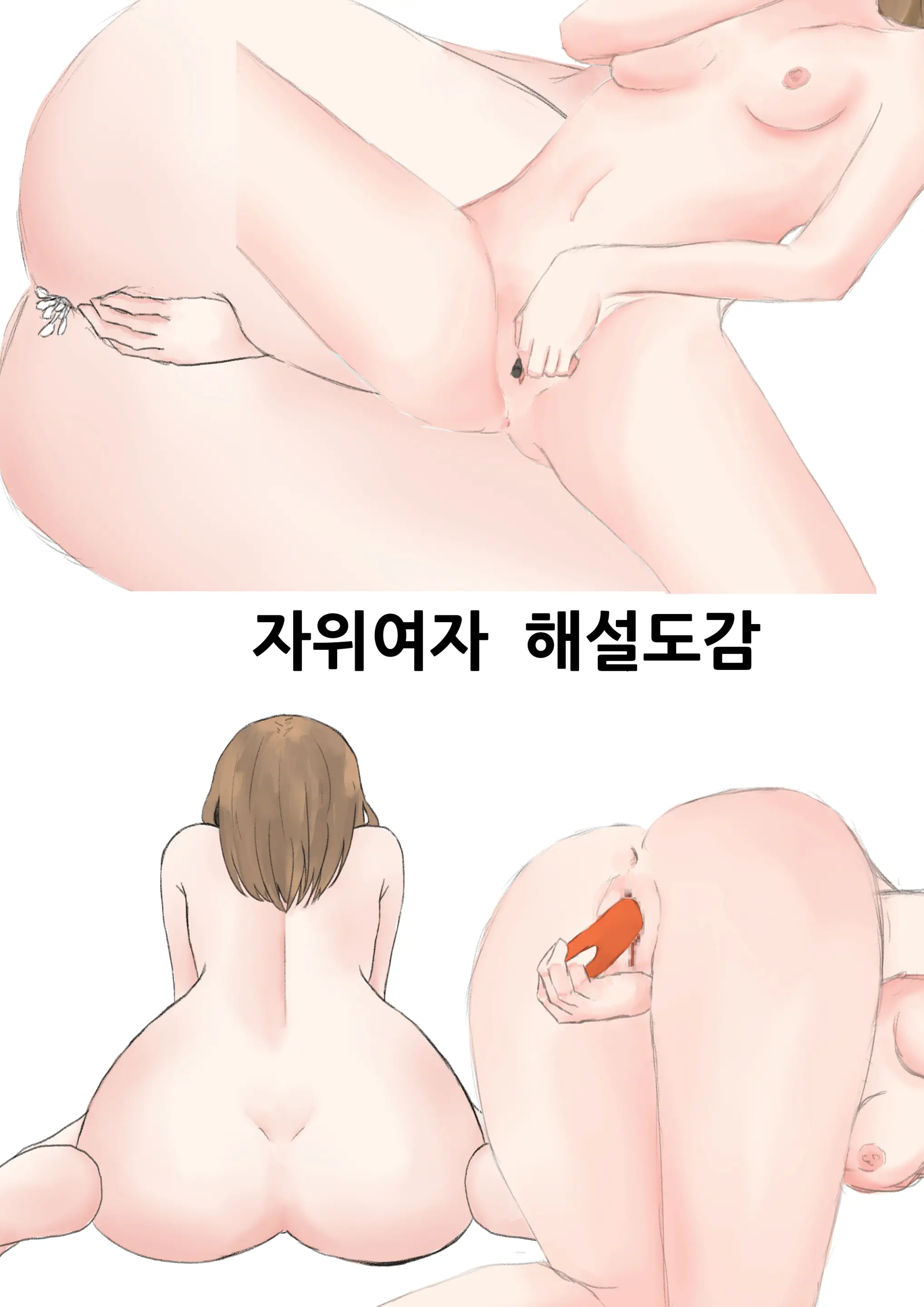 자위여자 해설도감