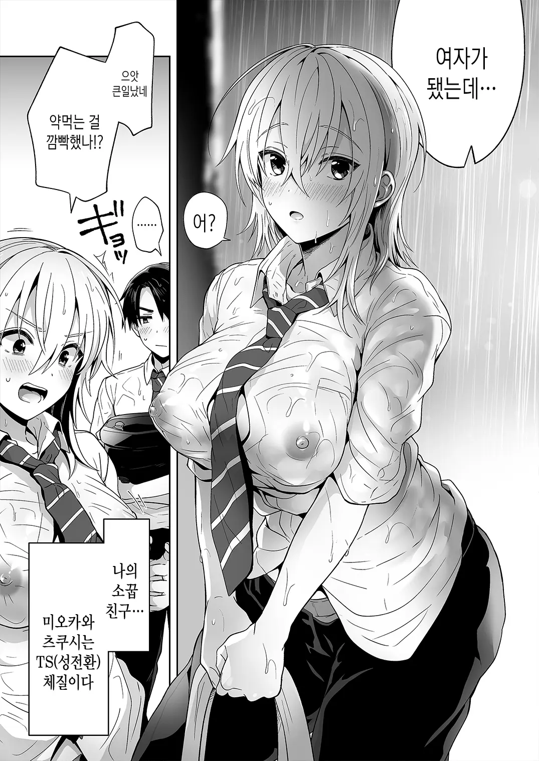 Ore No Shinyuu Wa TS (Seitenka) Taishitsu Soushuuhen1 | 내 친구는 TS(성전환)체질 총집편1
