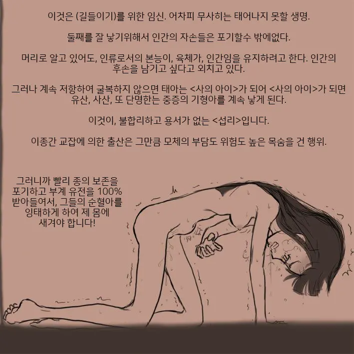 적응교배