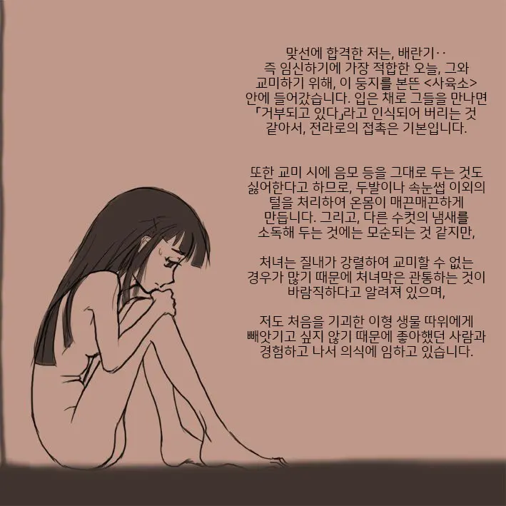 적응교배