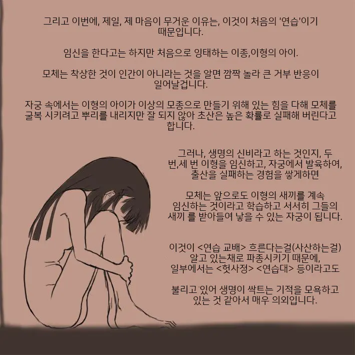 적응교배