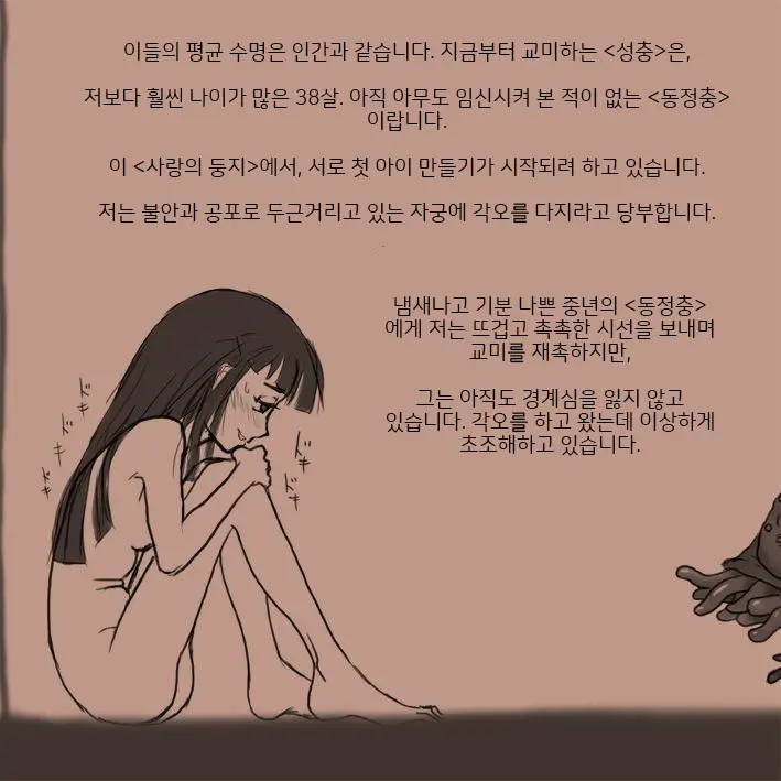 적응교배