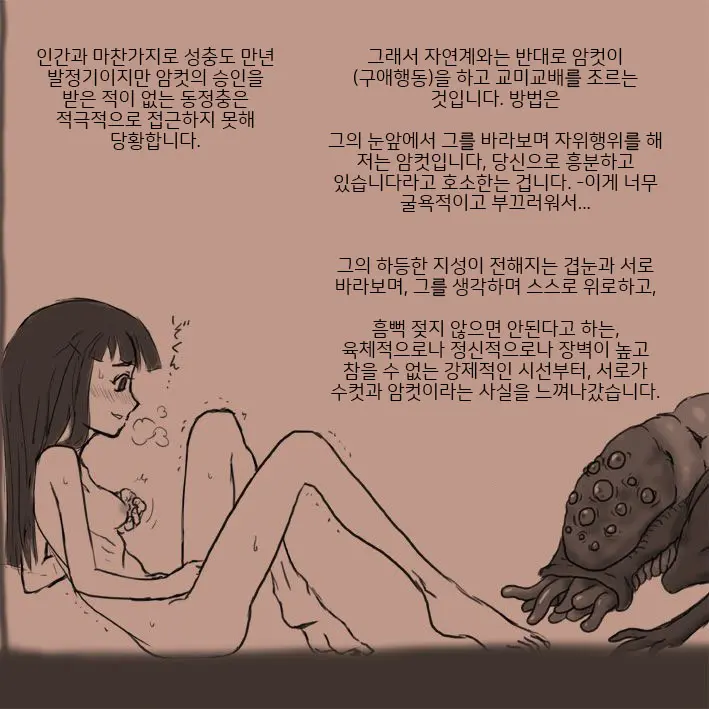 적응교배