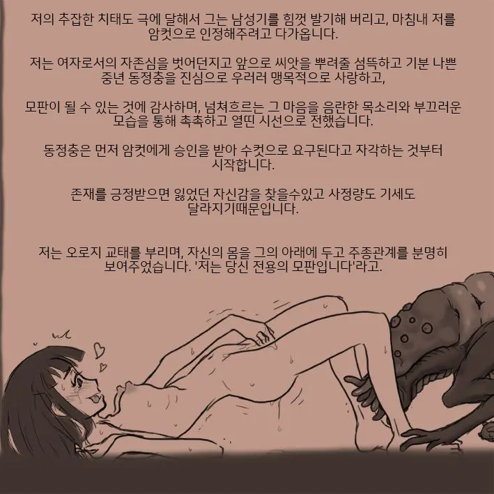 적응교배