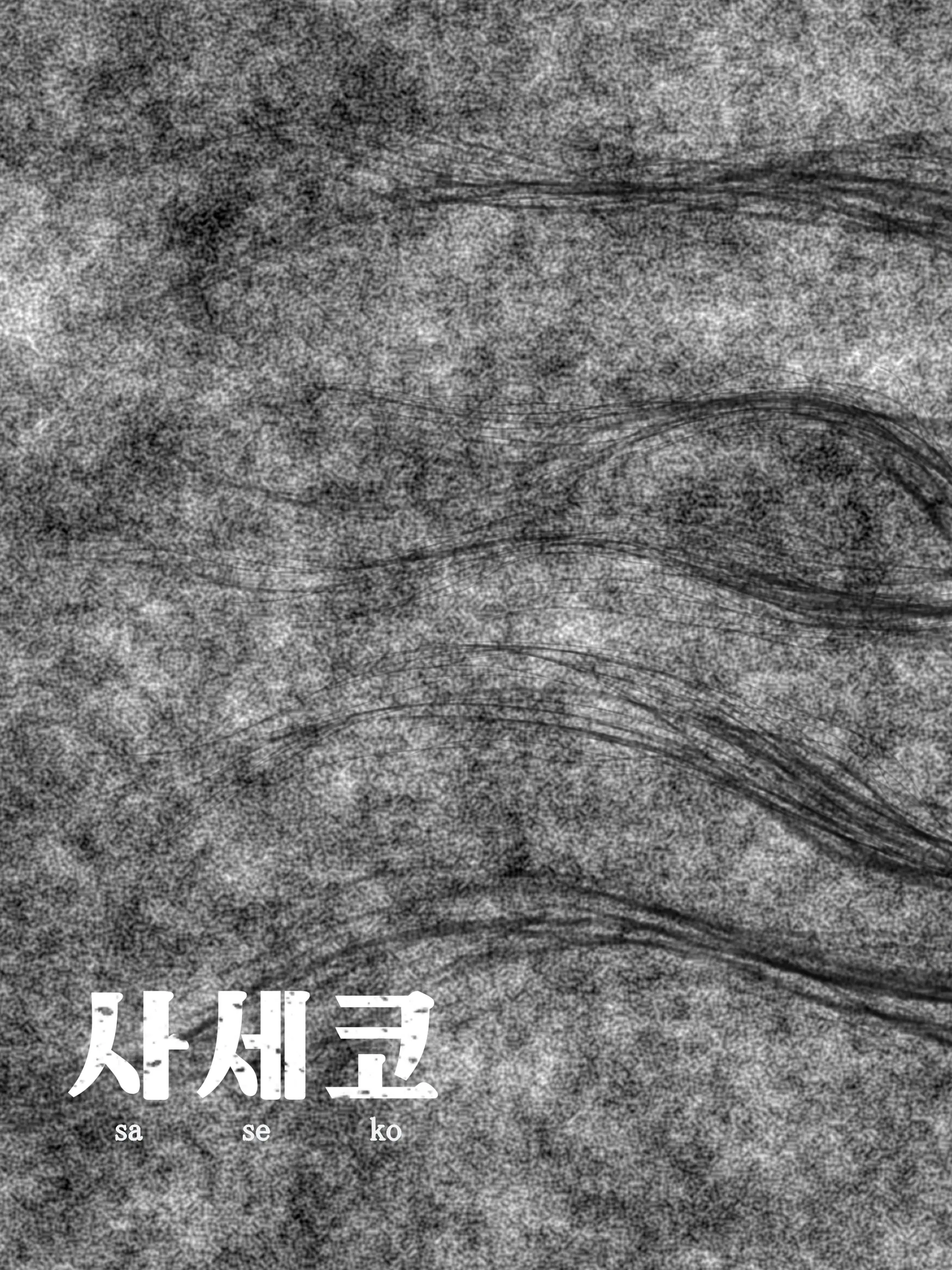 Saseko ~Sore Wa Otoko O Dame Ni Suru Saikyou Jibakurei~ | 사세코 ~그것은 남자를 망가트리는 제일 무서운 지박령~