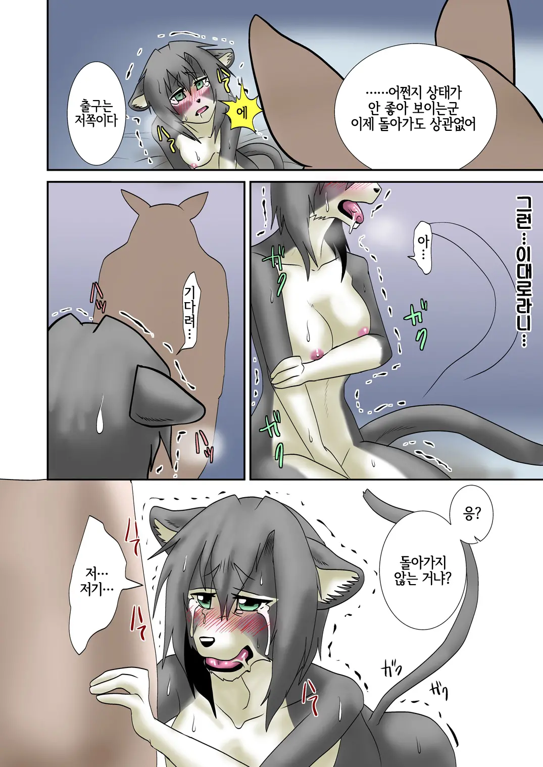 Neko Ijiri | 고양이 괴롭히기