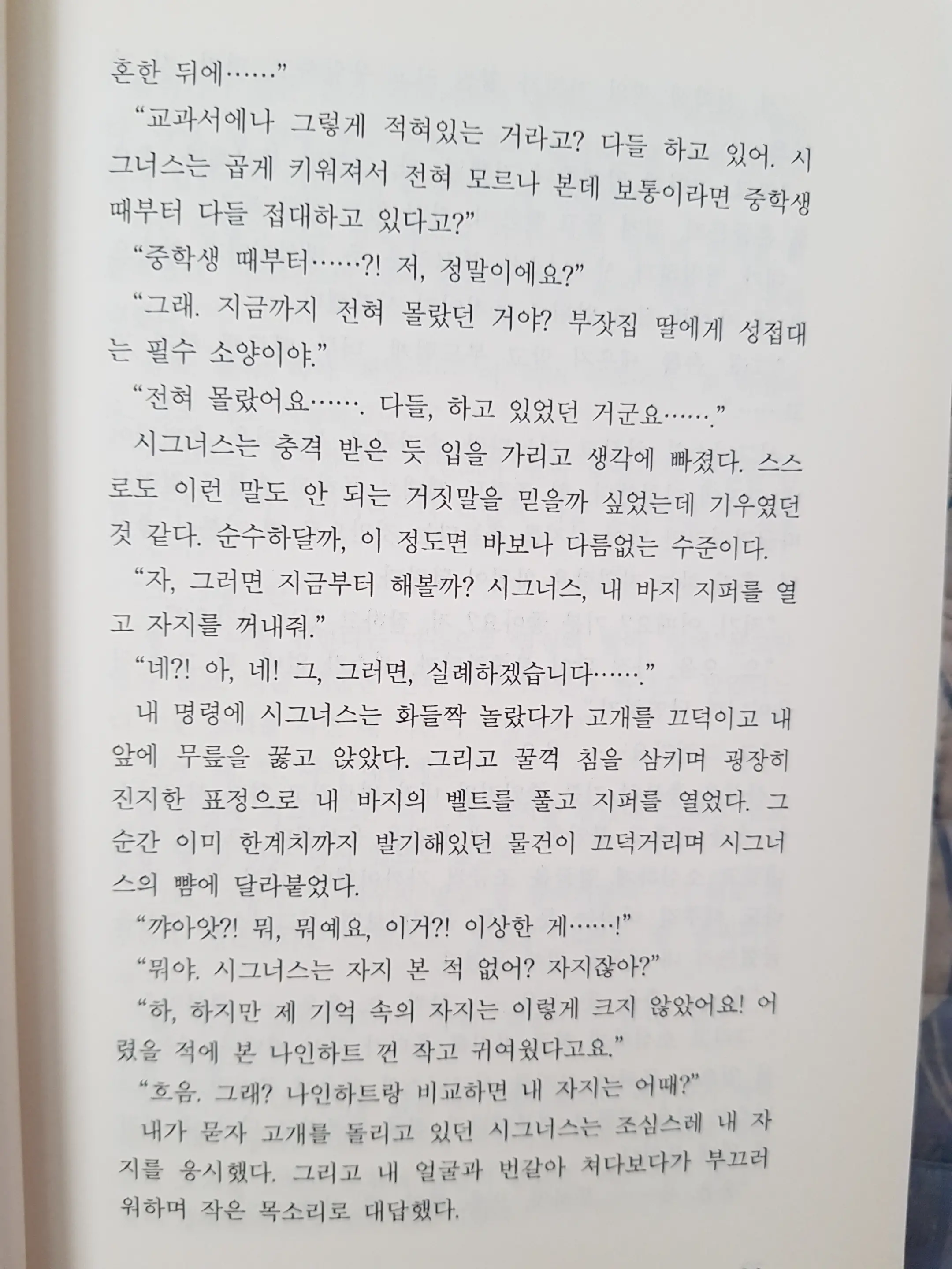 메이플의 에로책 Vol.2