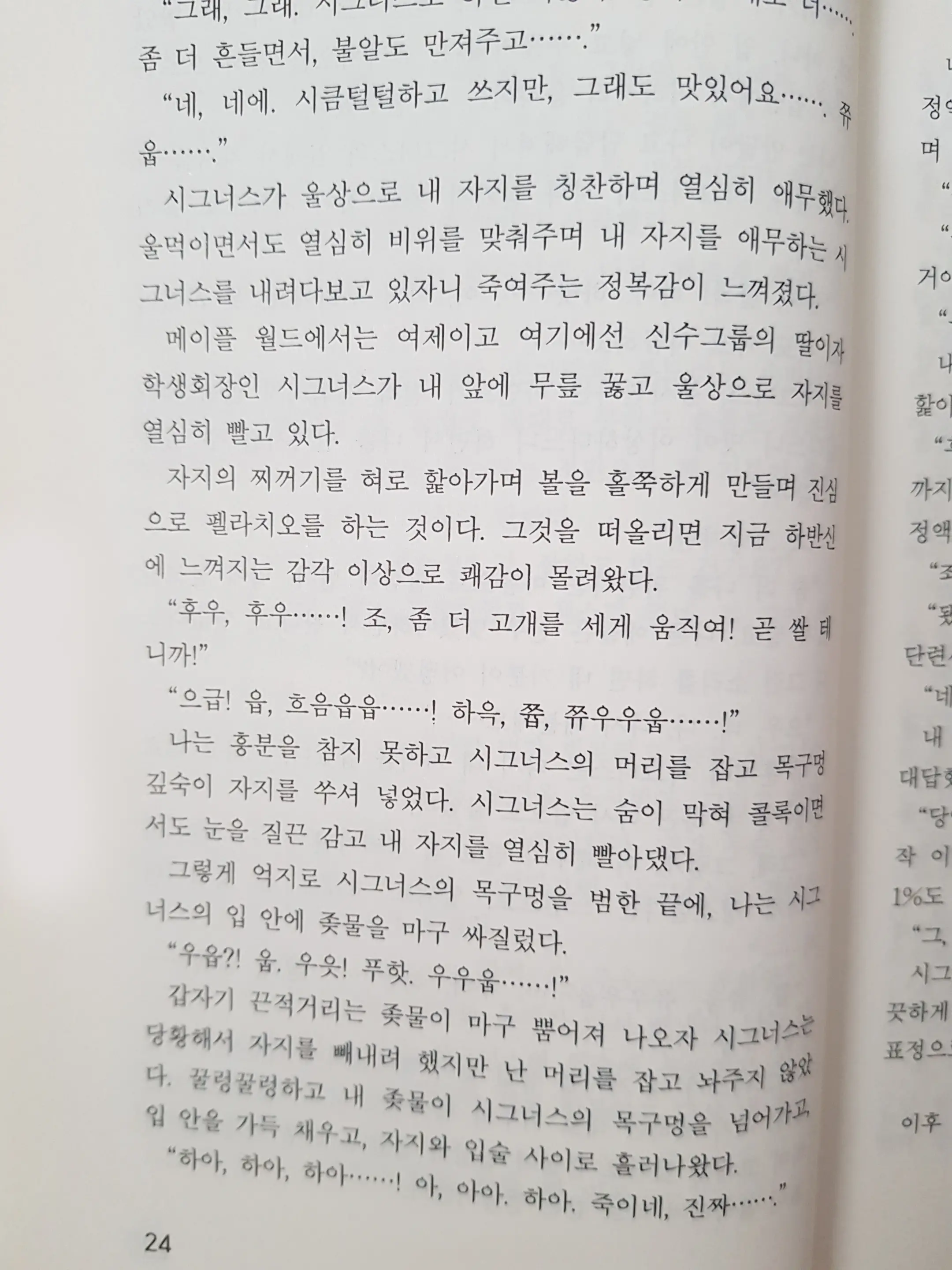 메이플의 에로책 Vol.2