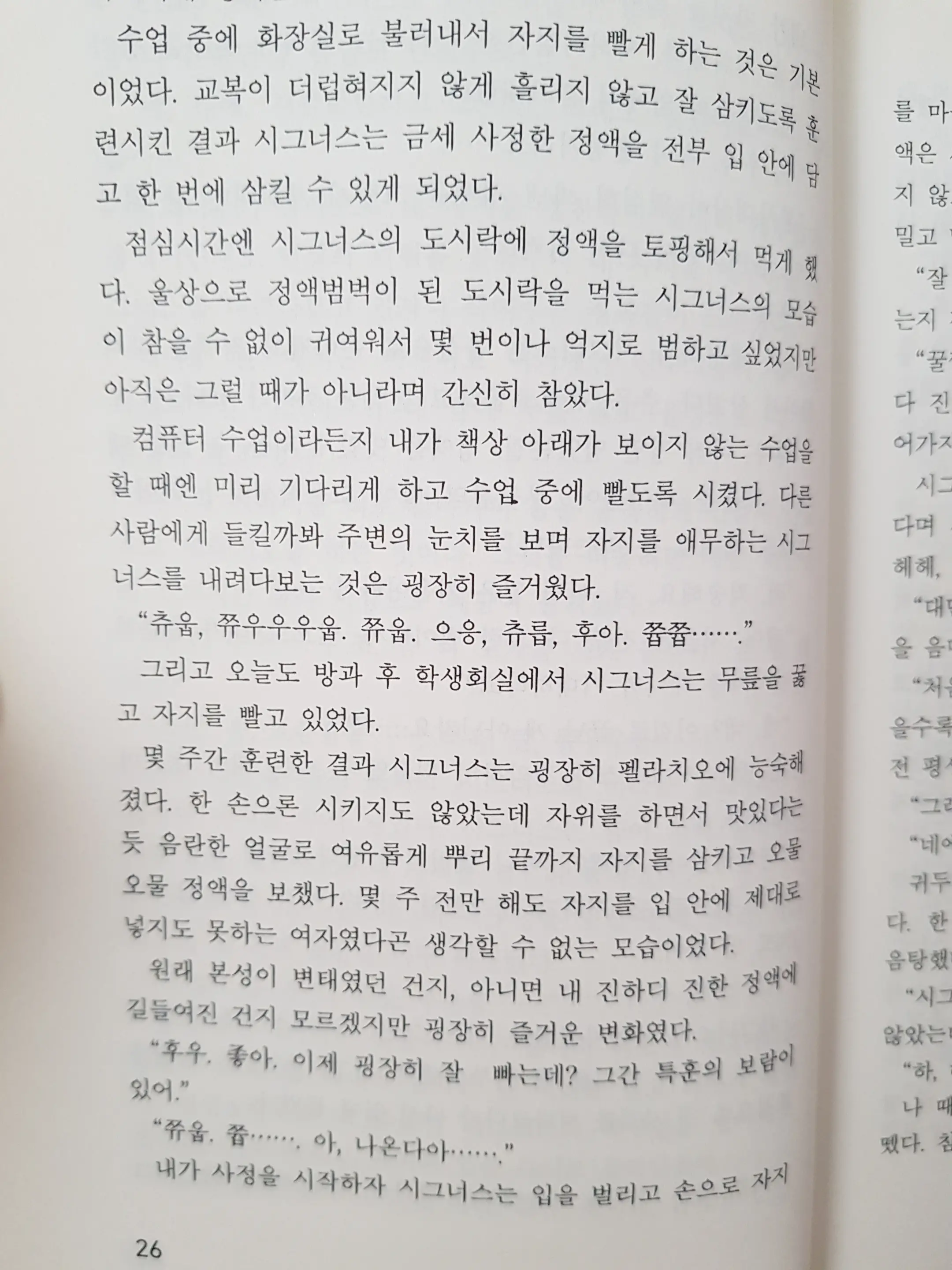 메이플의 에로책 Vol.2