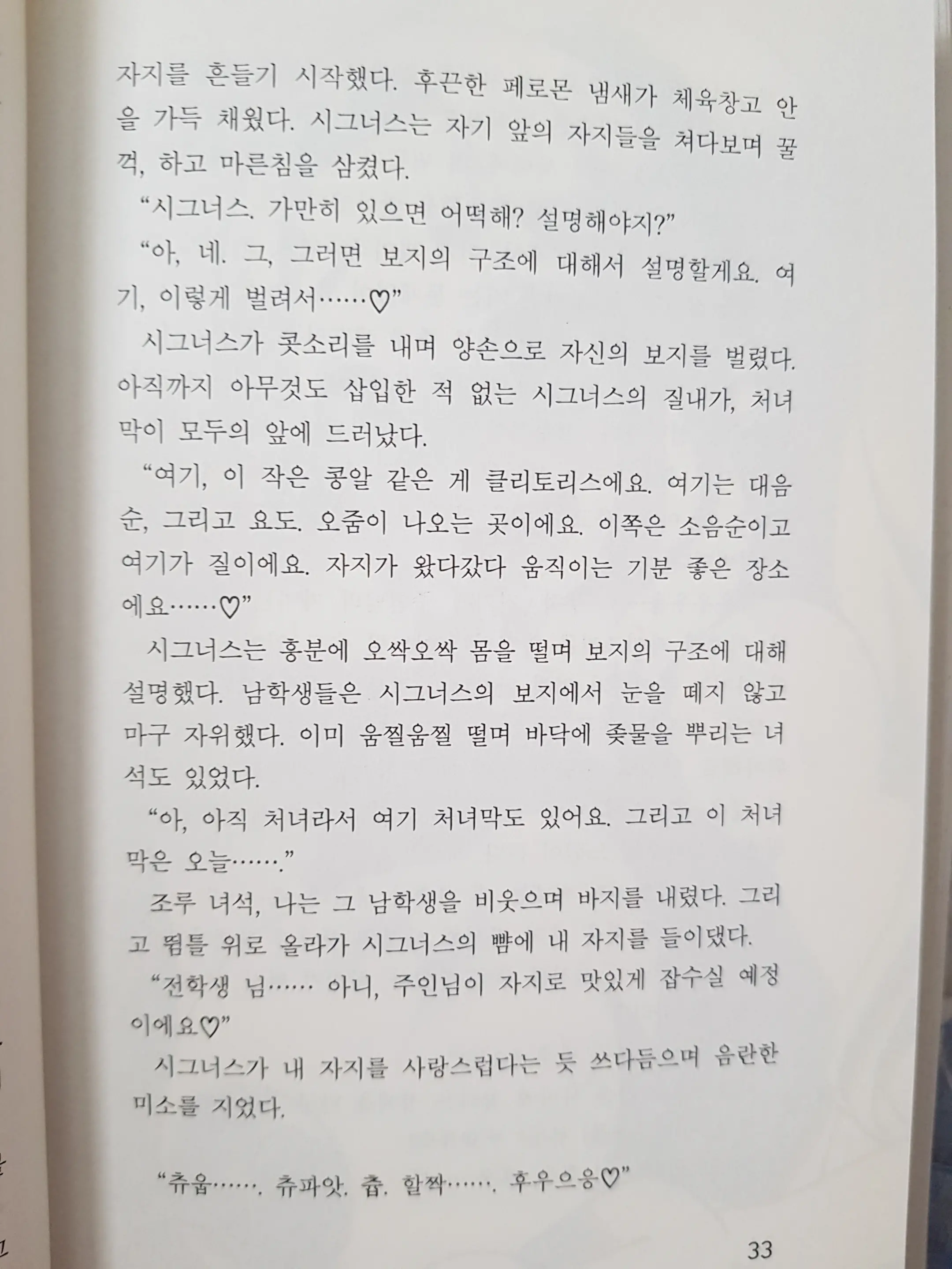 메이플의 에로책 Vol.2