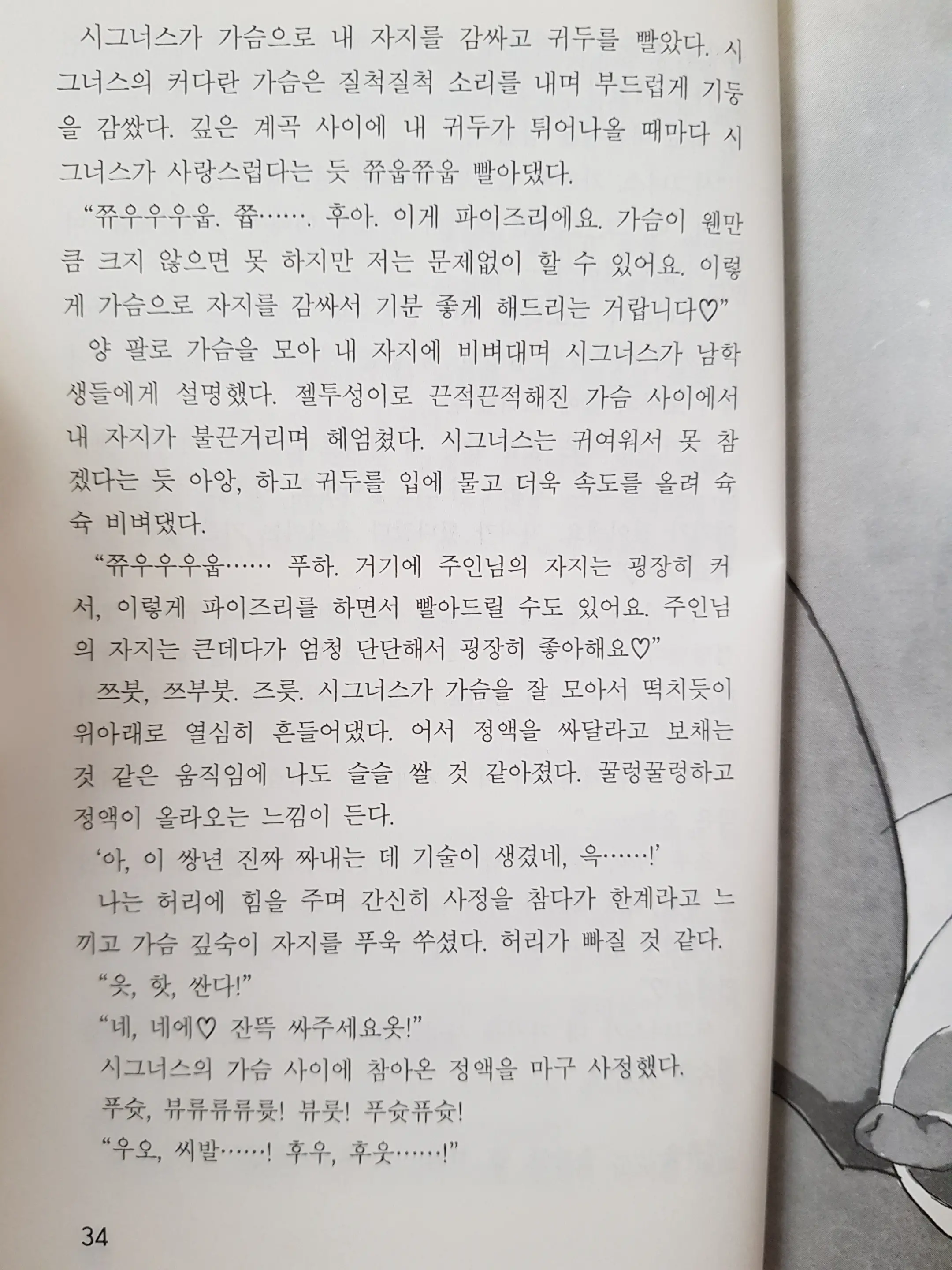 메이플의 에로책 Vol.2