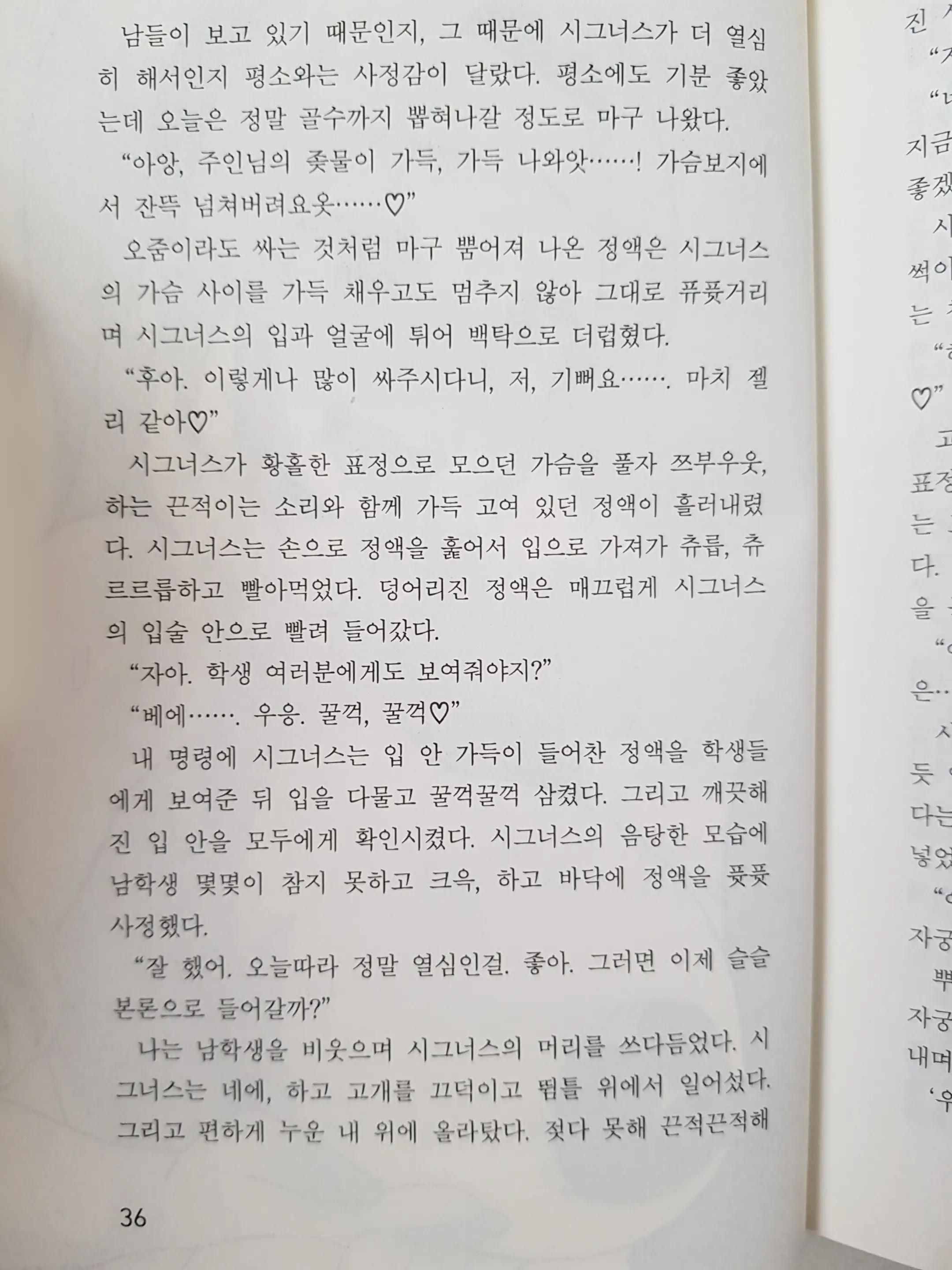 메이플의 에로책 Vol.2