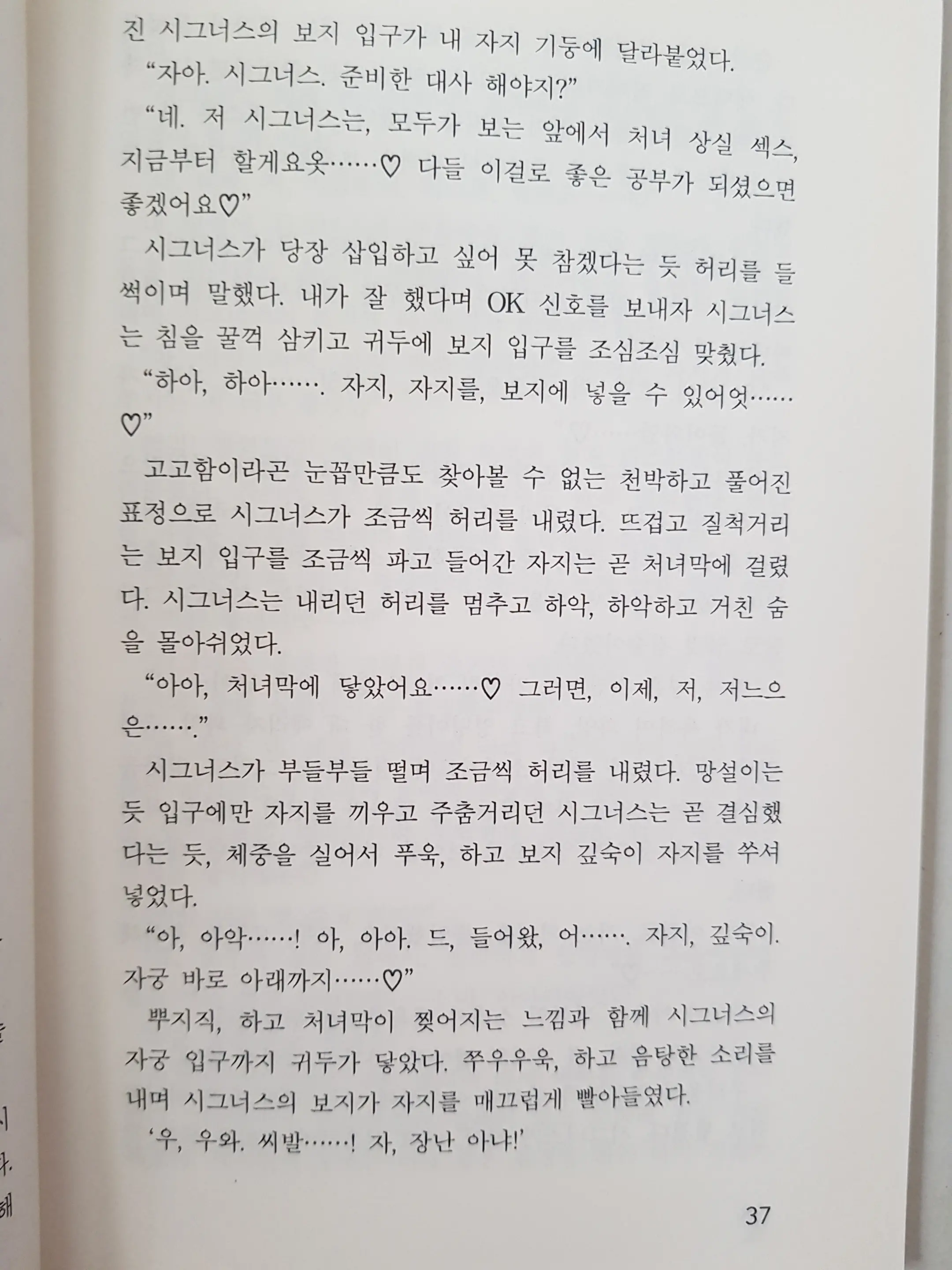 메이플의 에로책 Vol.2