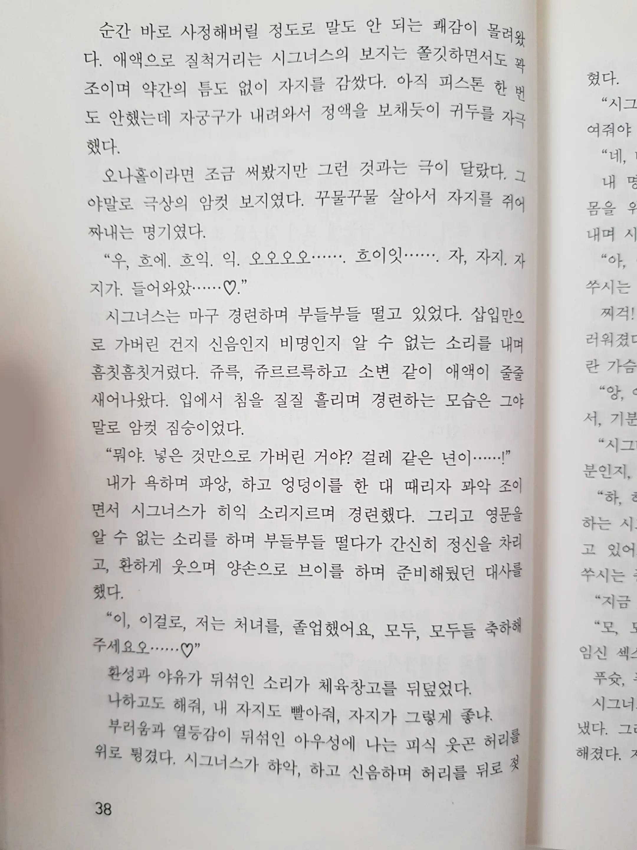 메이플의 에로책 Vol.2