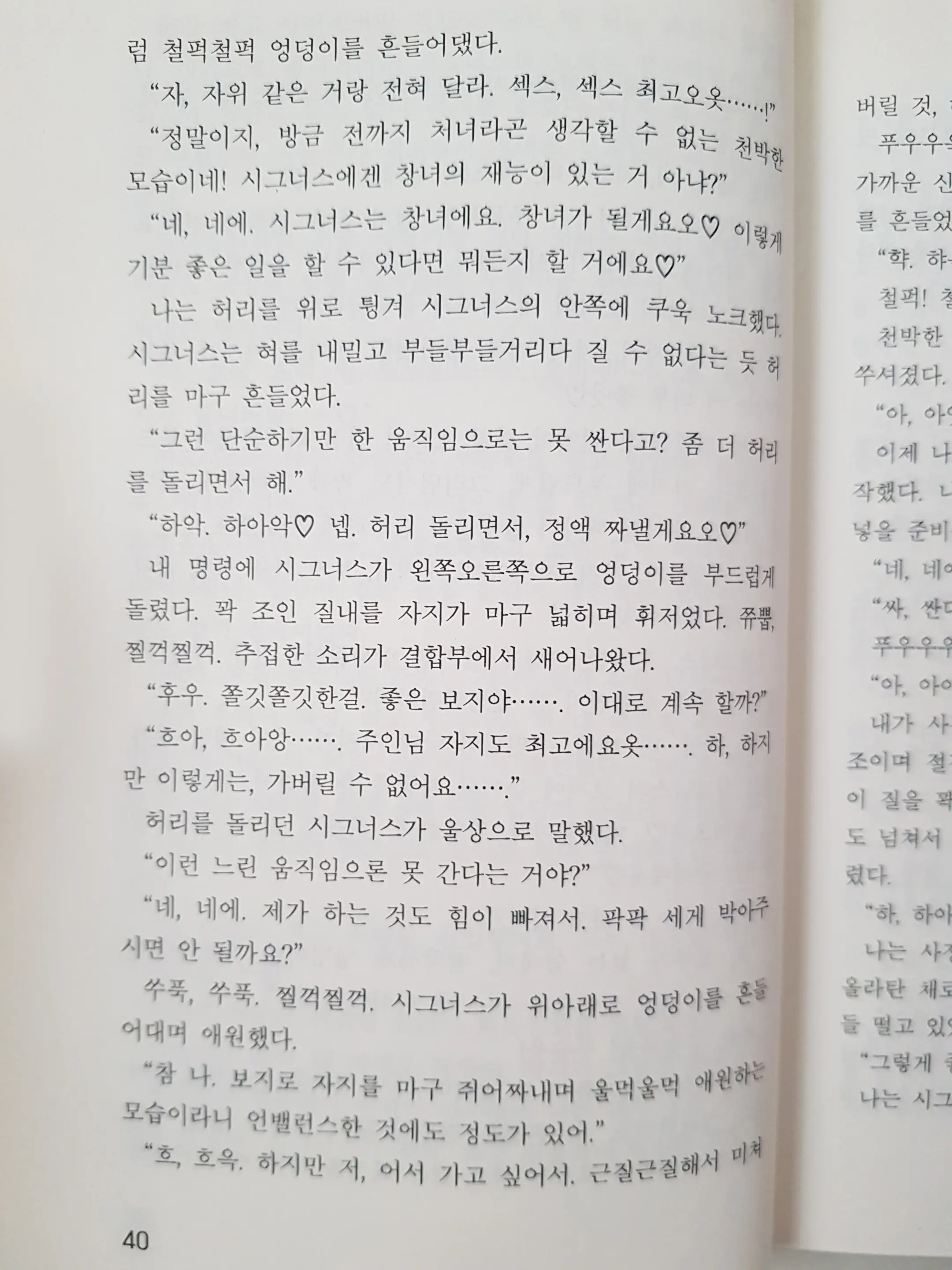 메이플의 에로책 Vol.2