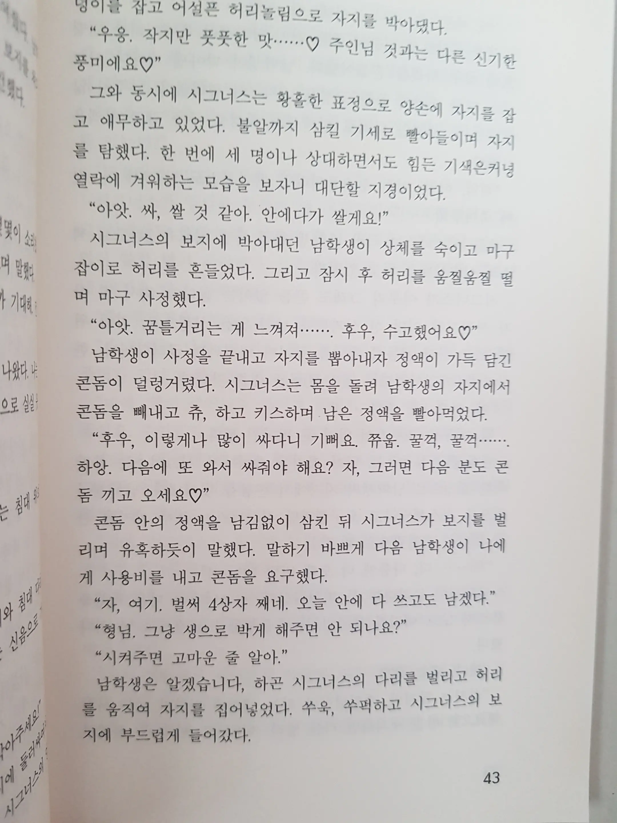 메이플의 에로책 Vol.2