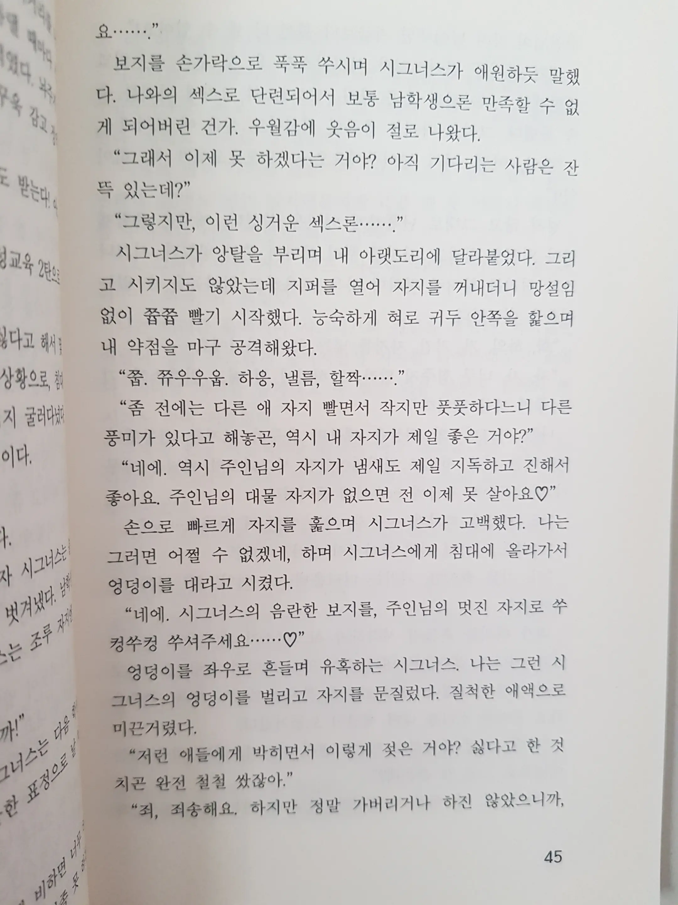 메이플의 에로책 Vol.2