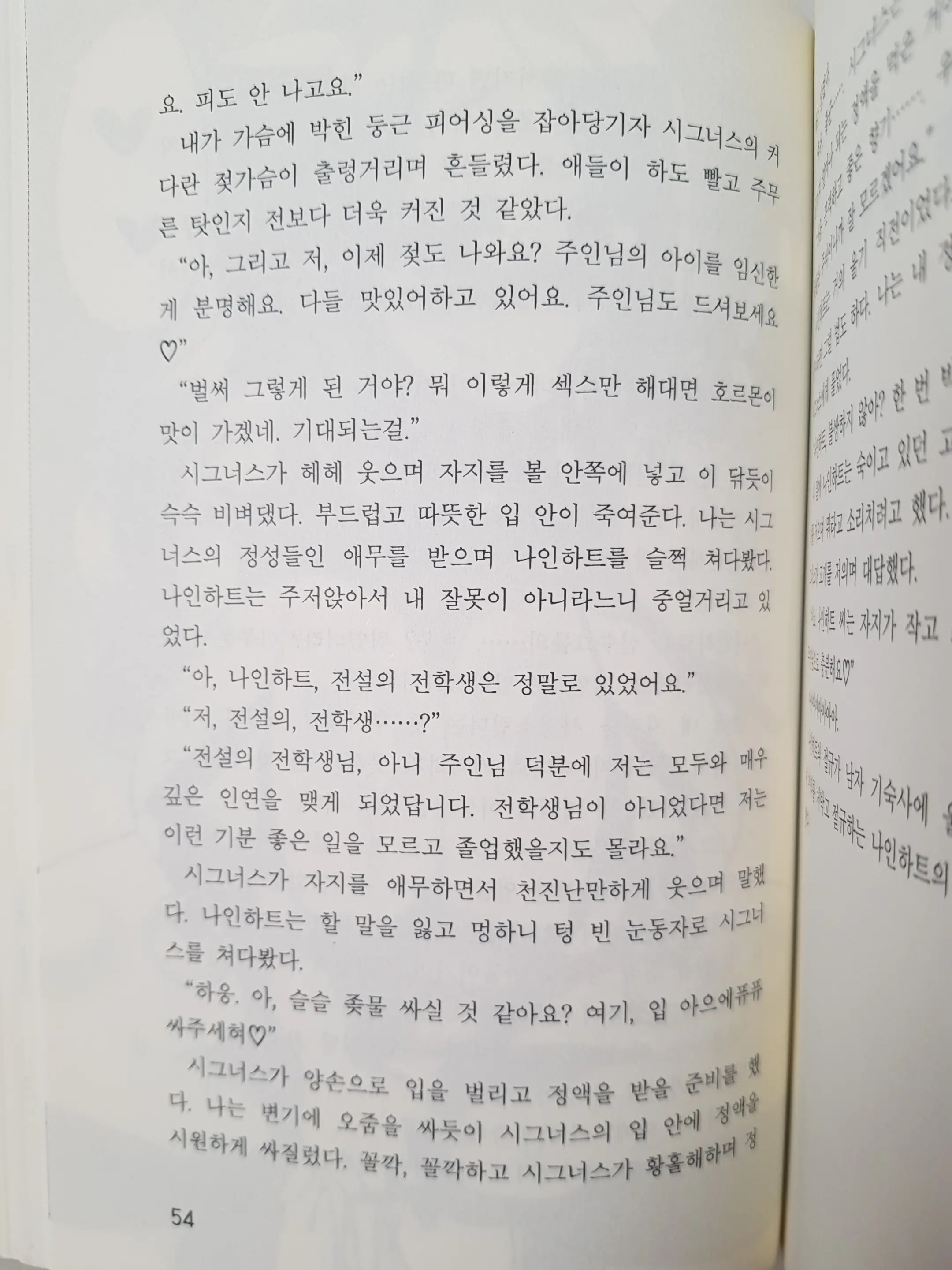 메이플의 에로책 Vol.2