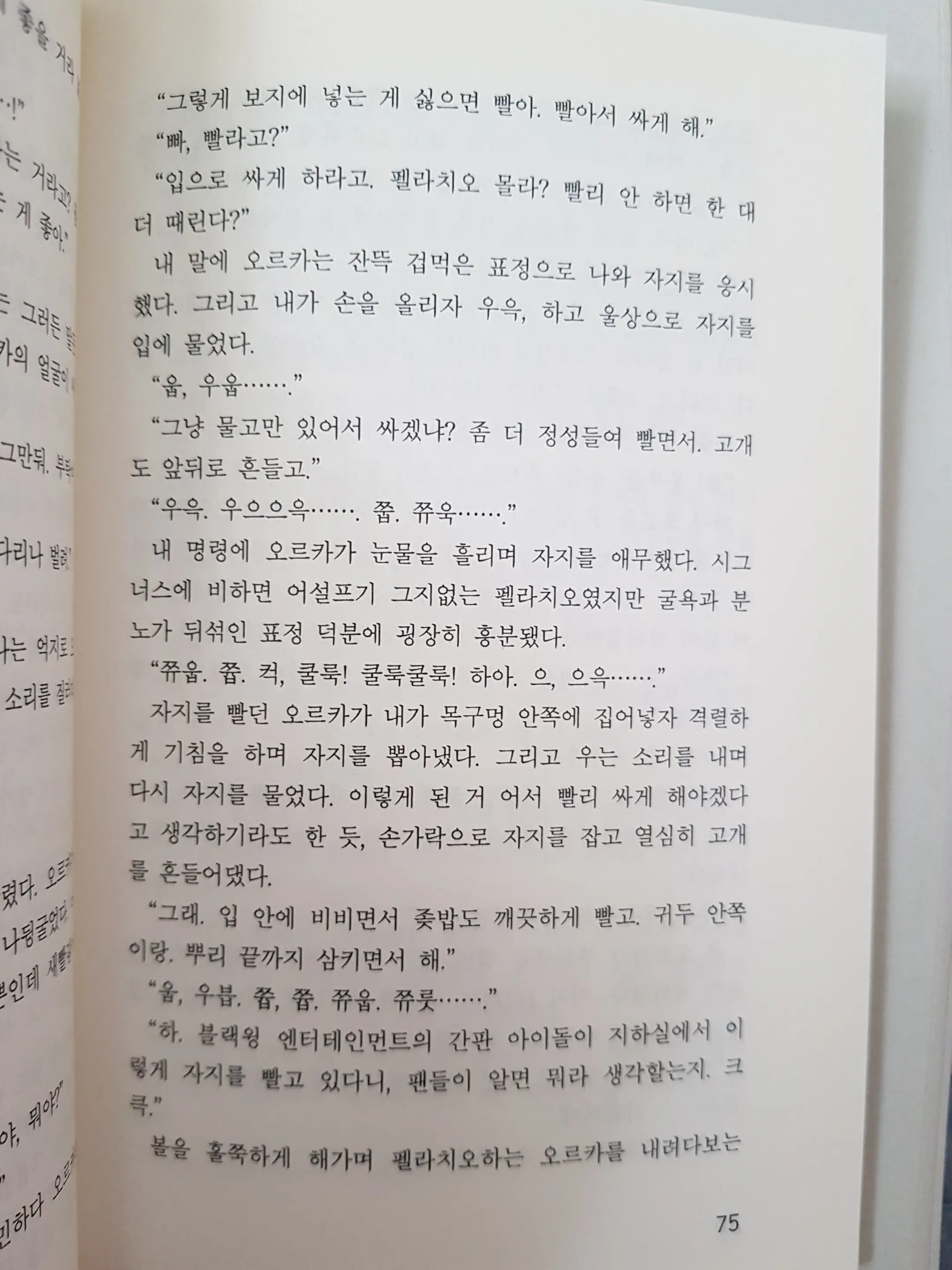 메이플의 에로책 Vol.2