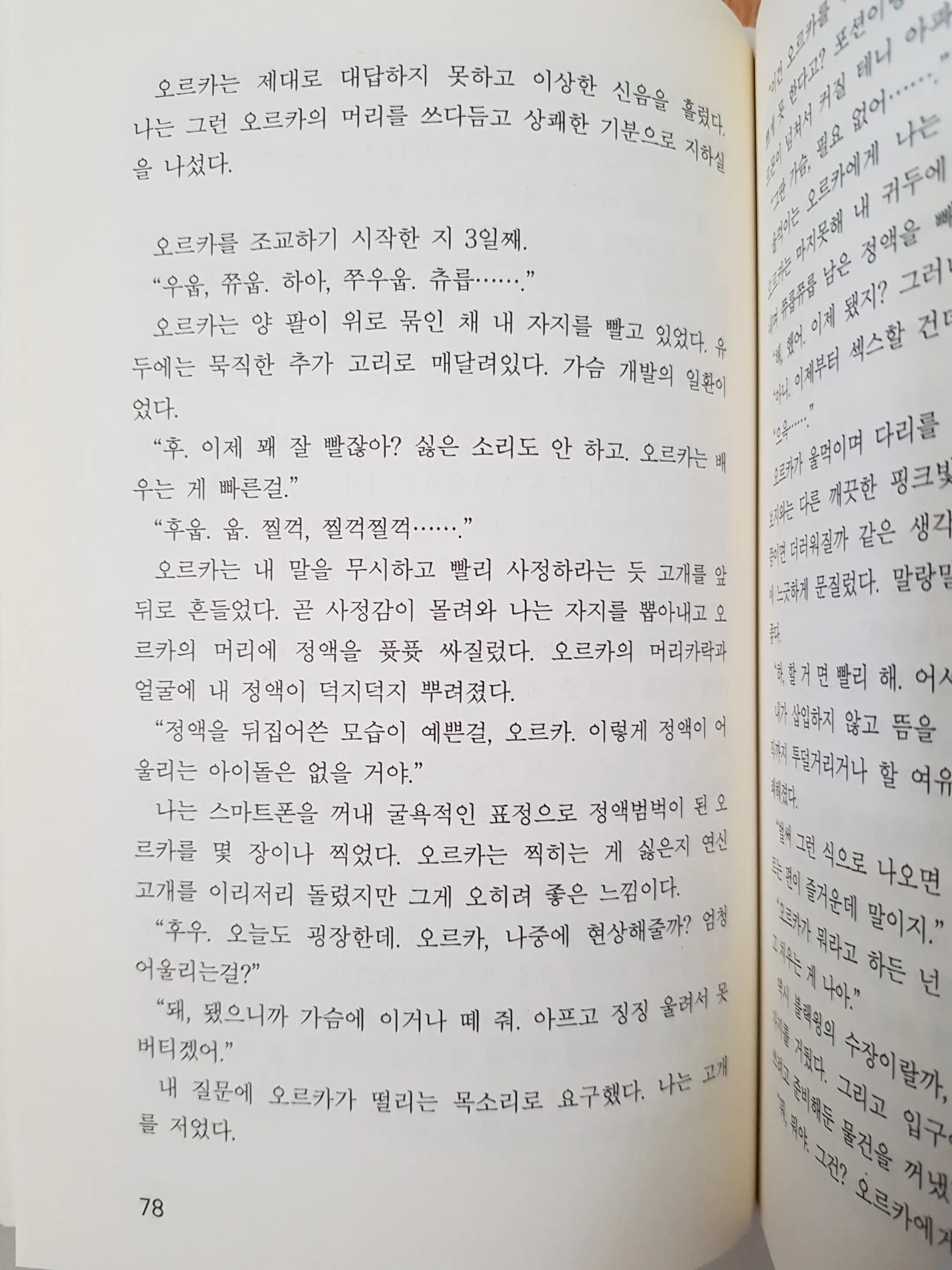 메이플의 에로책 Vol.2
