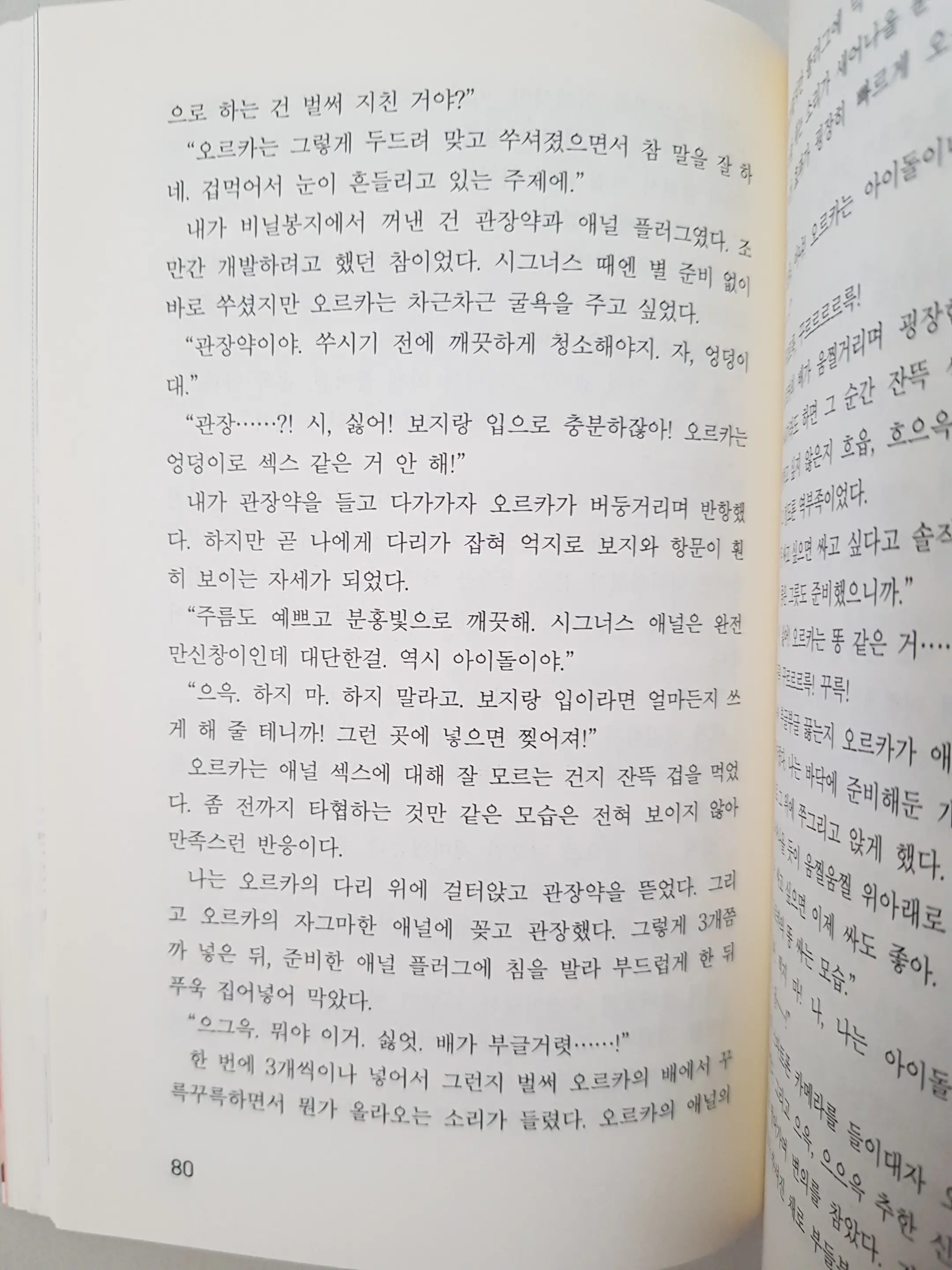 메이플의 에로책 Vol.2