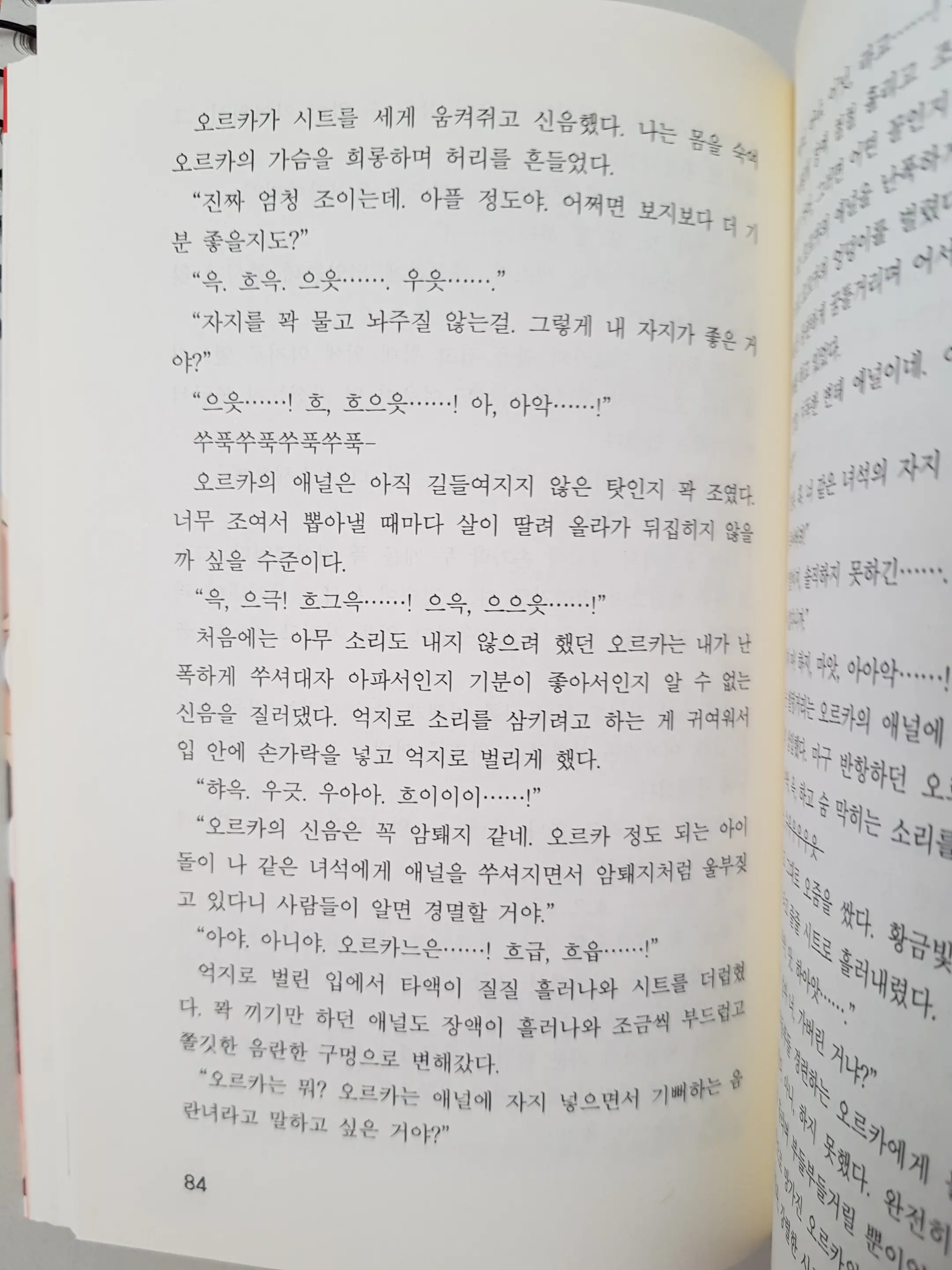 메이플의 에로책 Vol.2