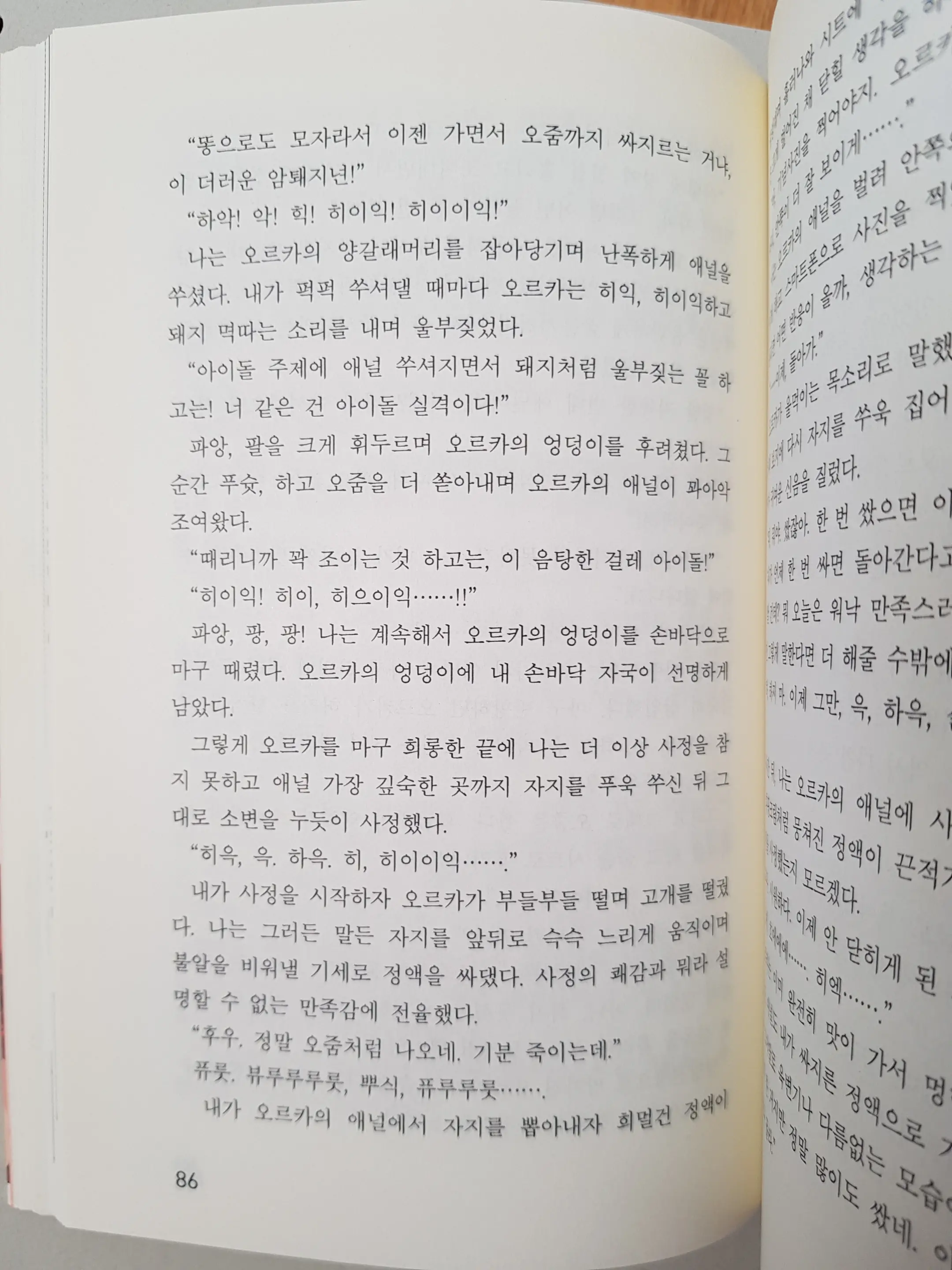 메이플의 에로책 Vol.2