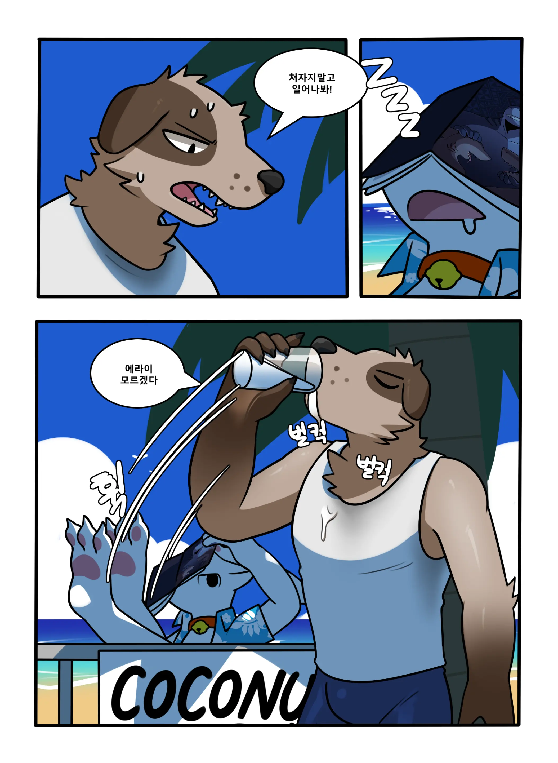 CocoShark