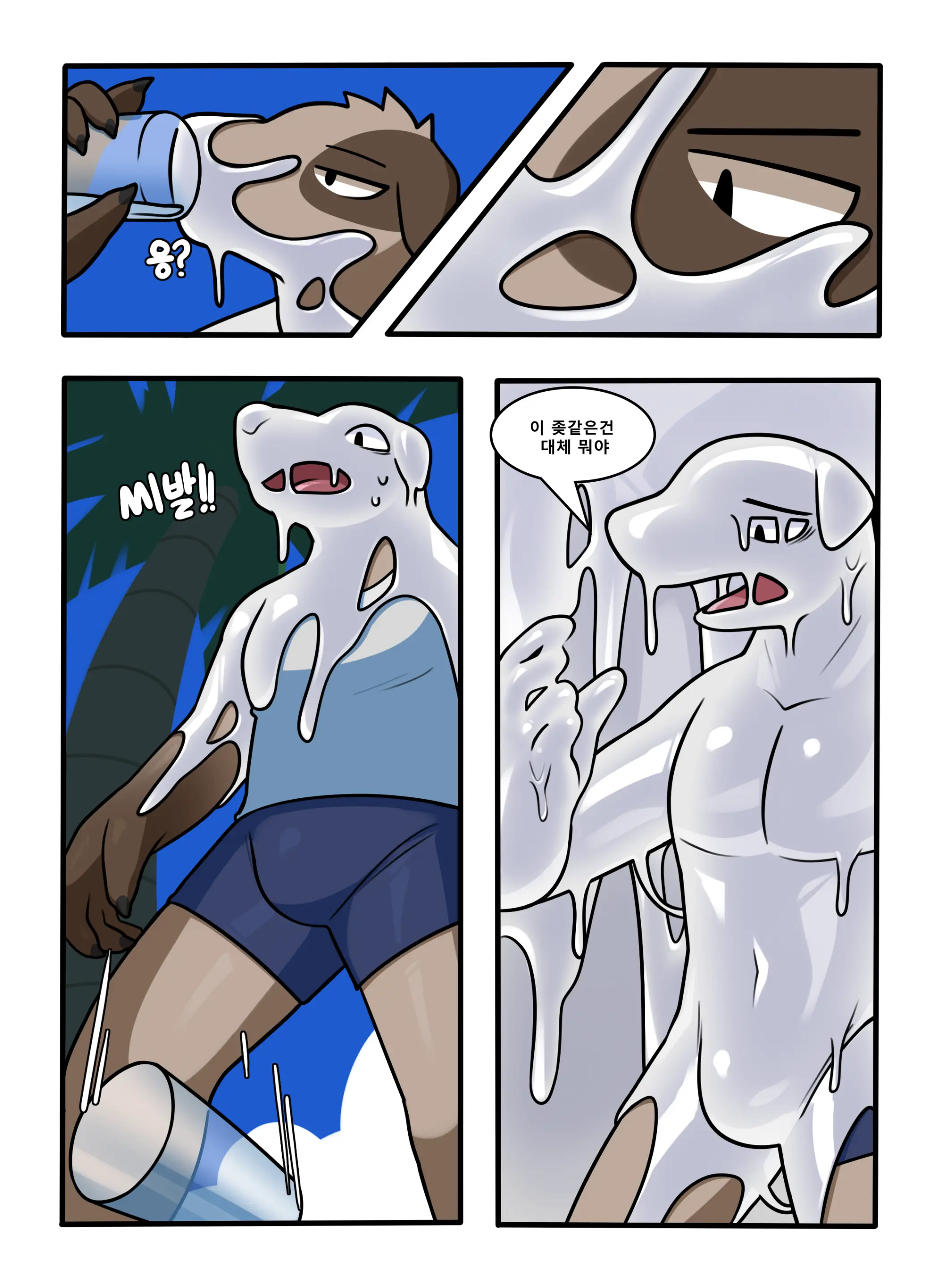 CocoShark