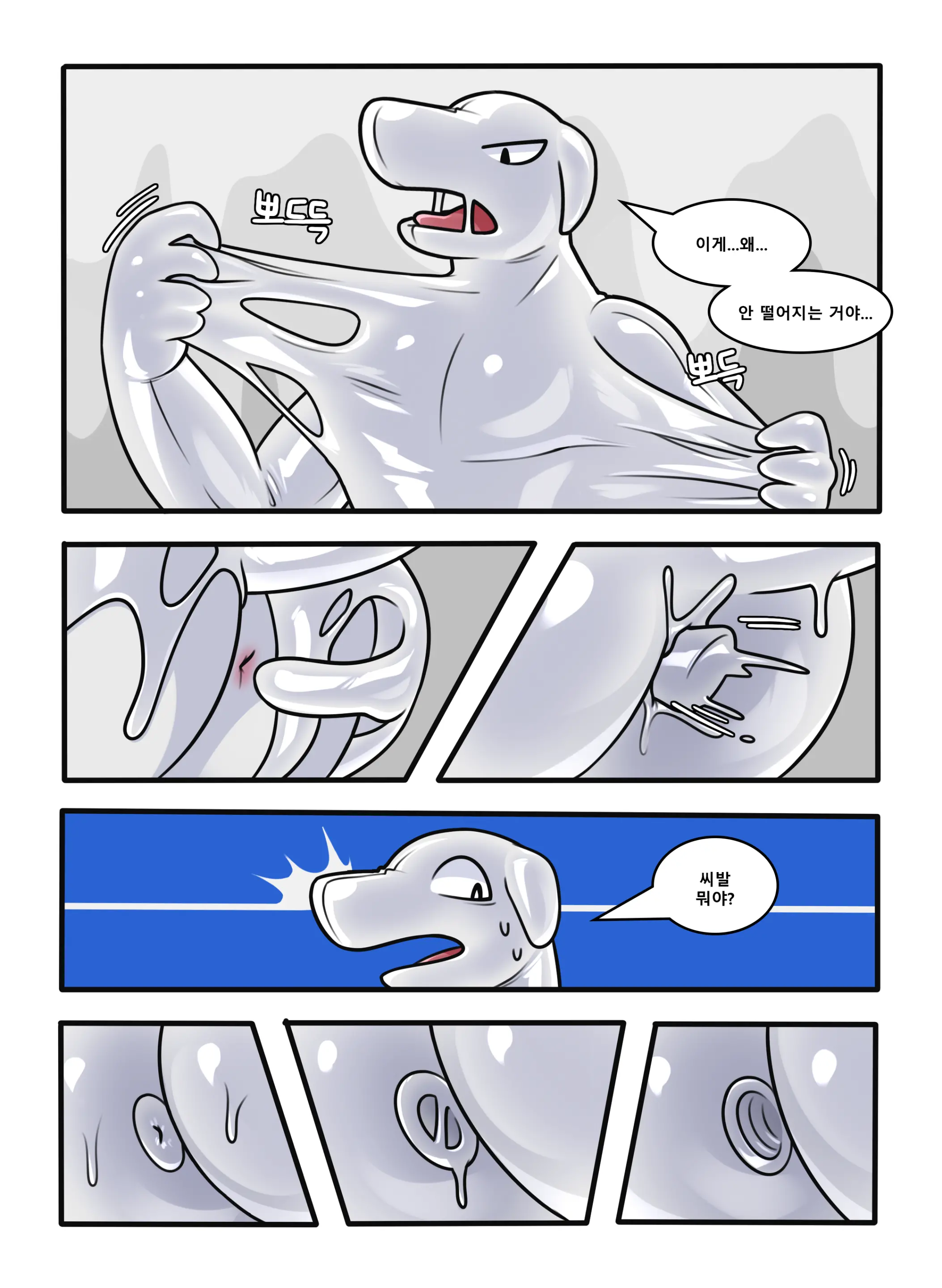CocoShark