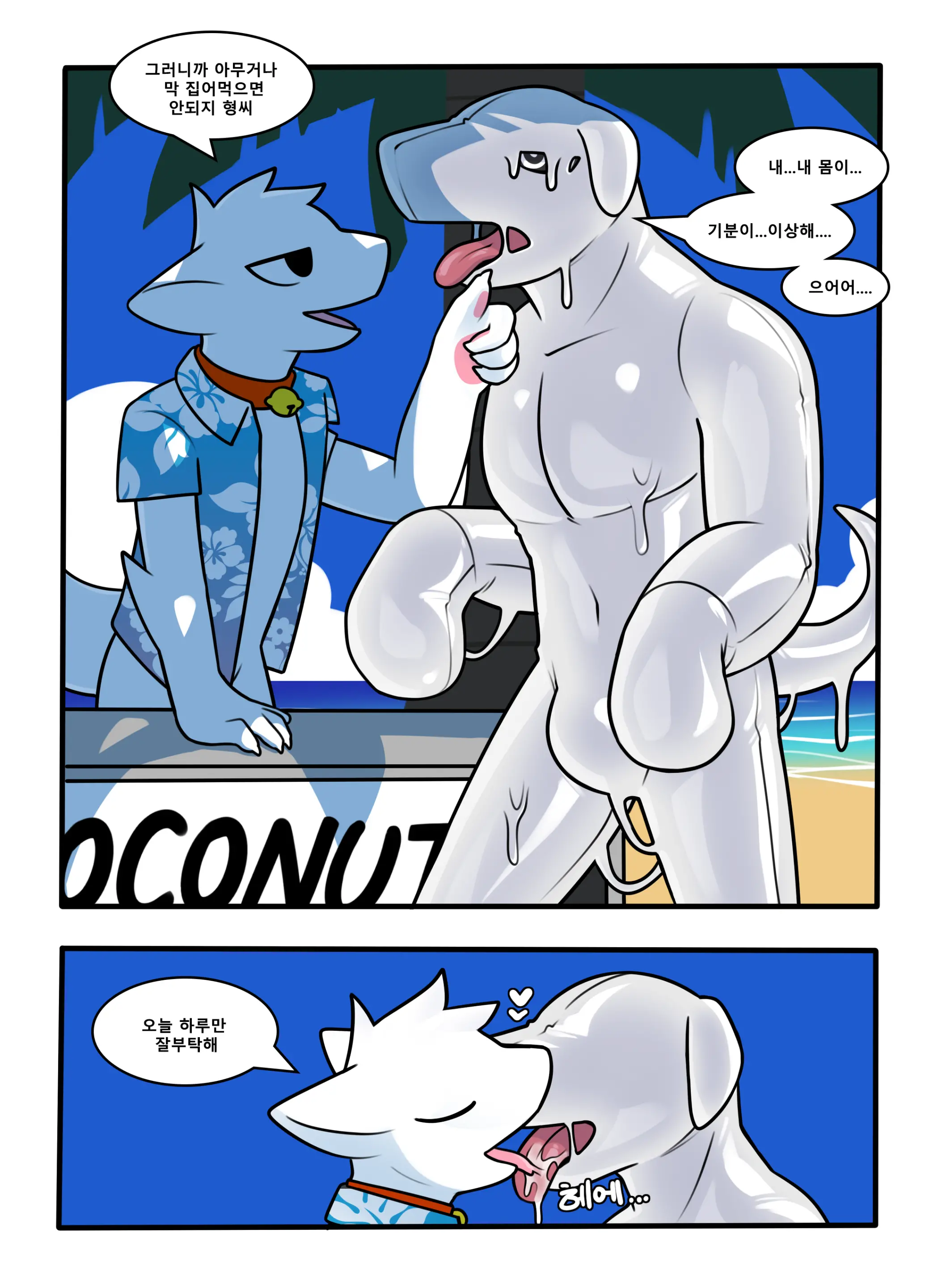 CocoShark